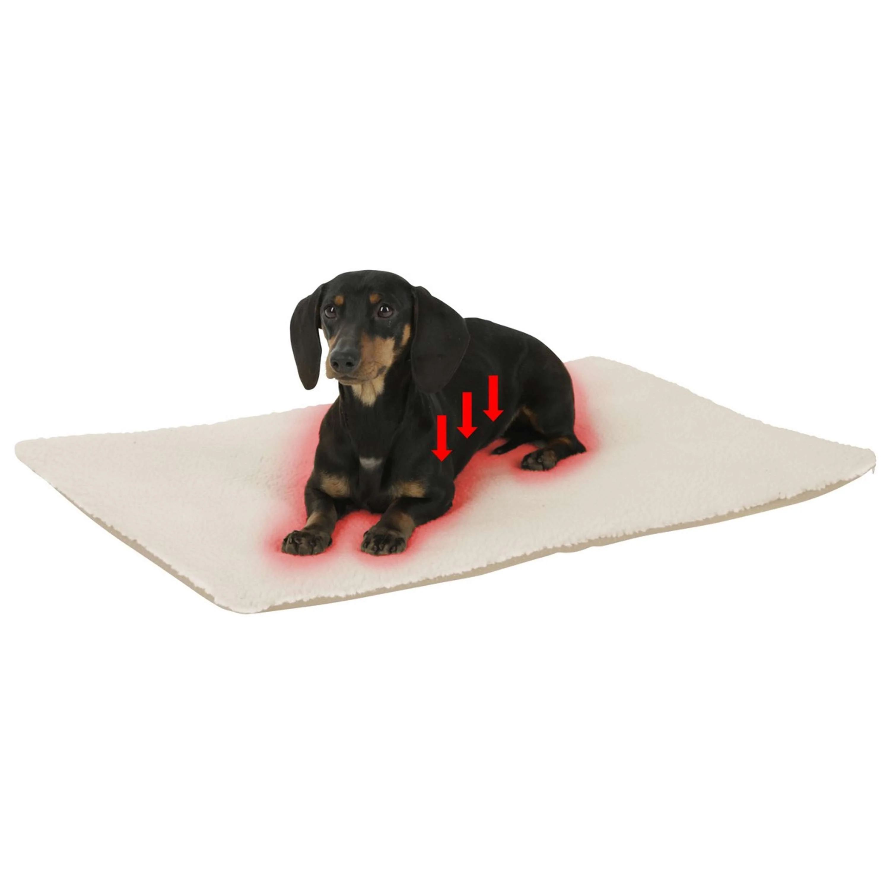 Kerbl Cuscino per Cane Beige - Image 5
