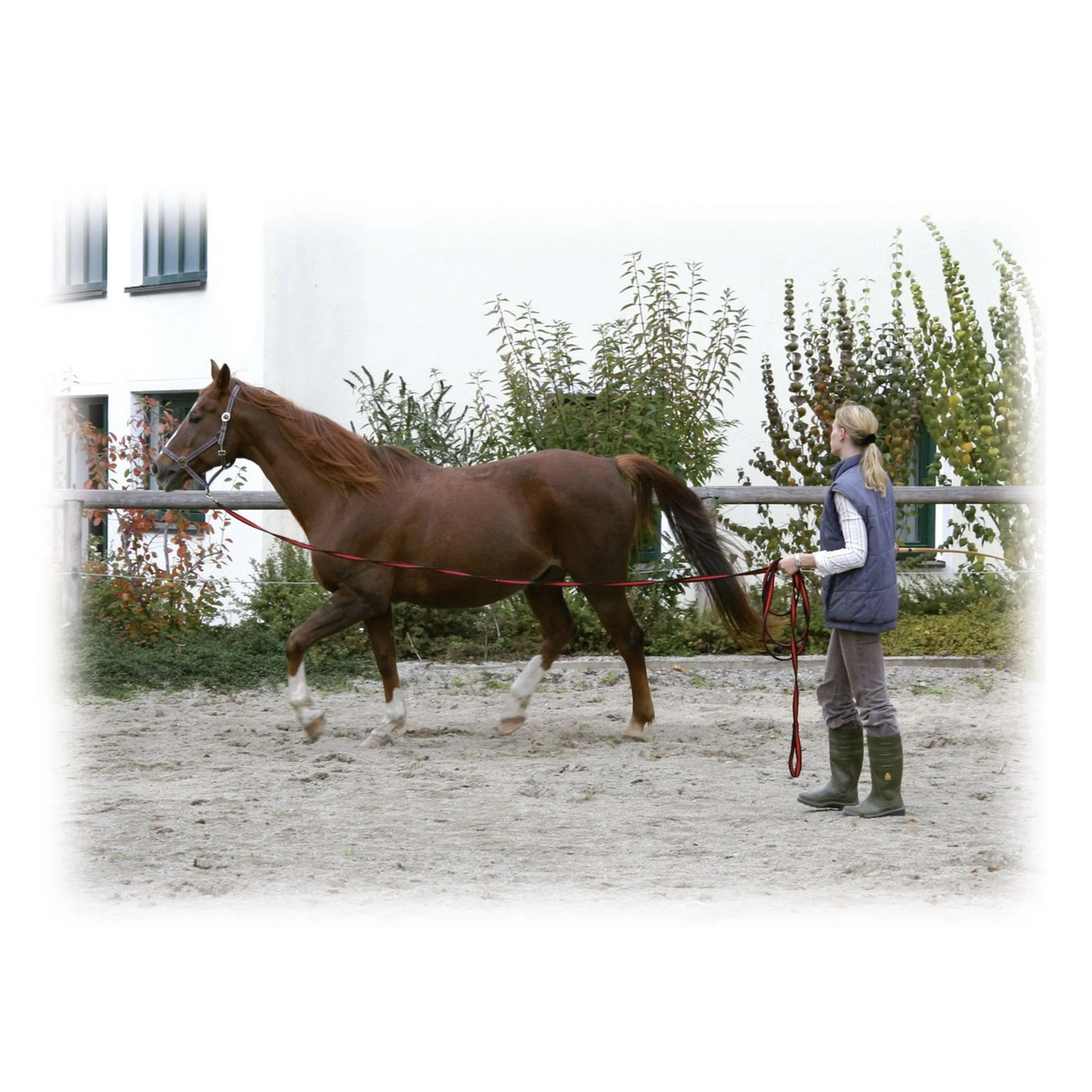 Kerbl Longe Softgrip 8m Nero/Rosso - Image 3