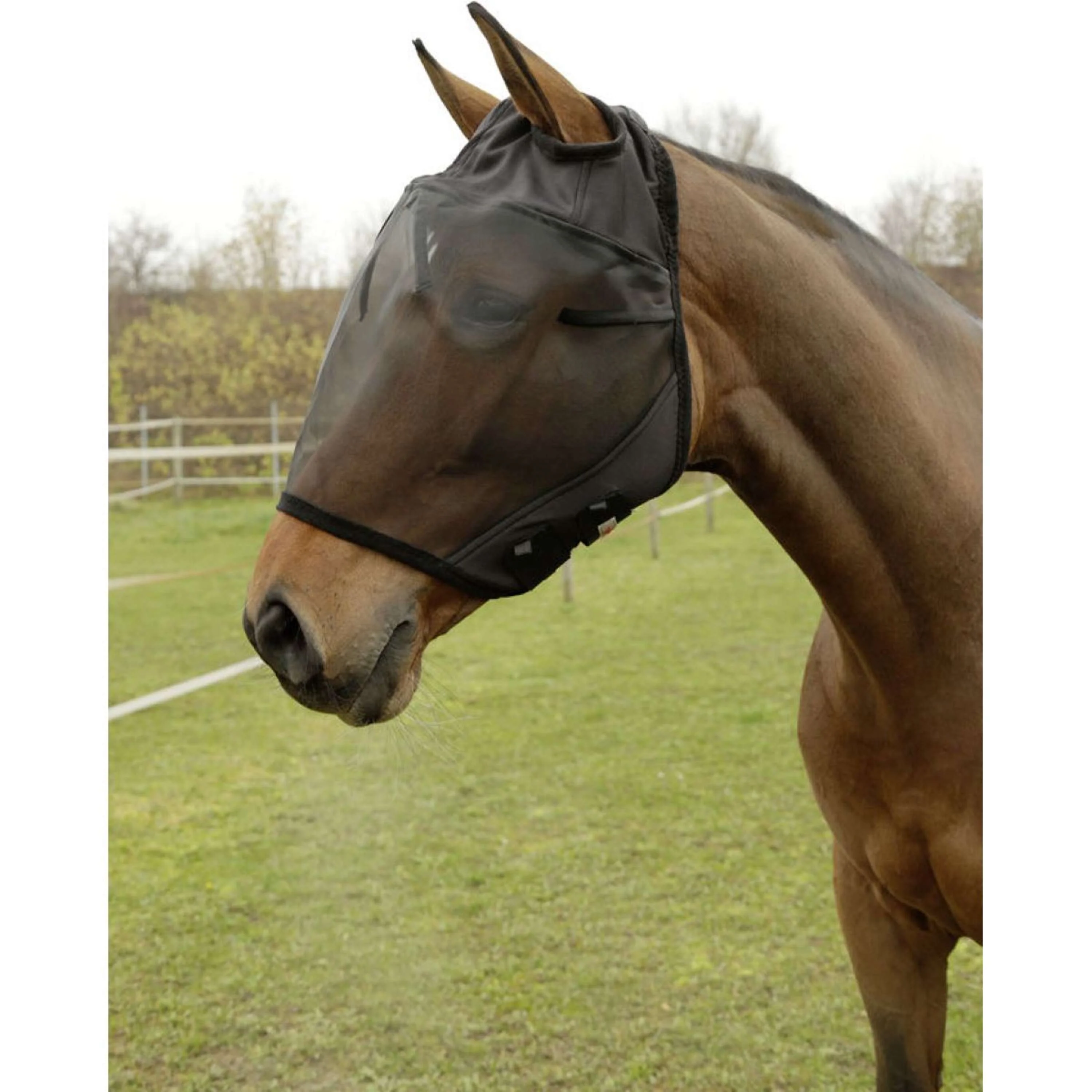 Kerbl Maschera antimosche con apertura per orecchie Nero - Image 6