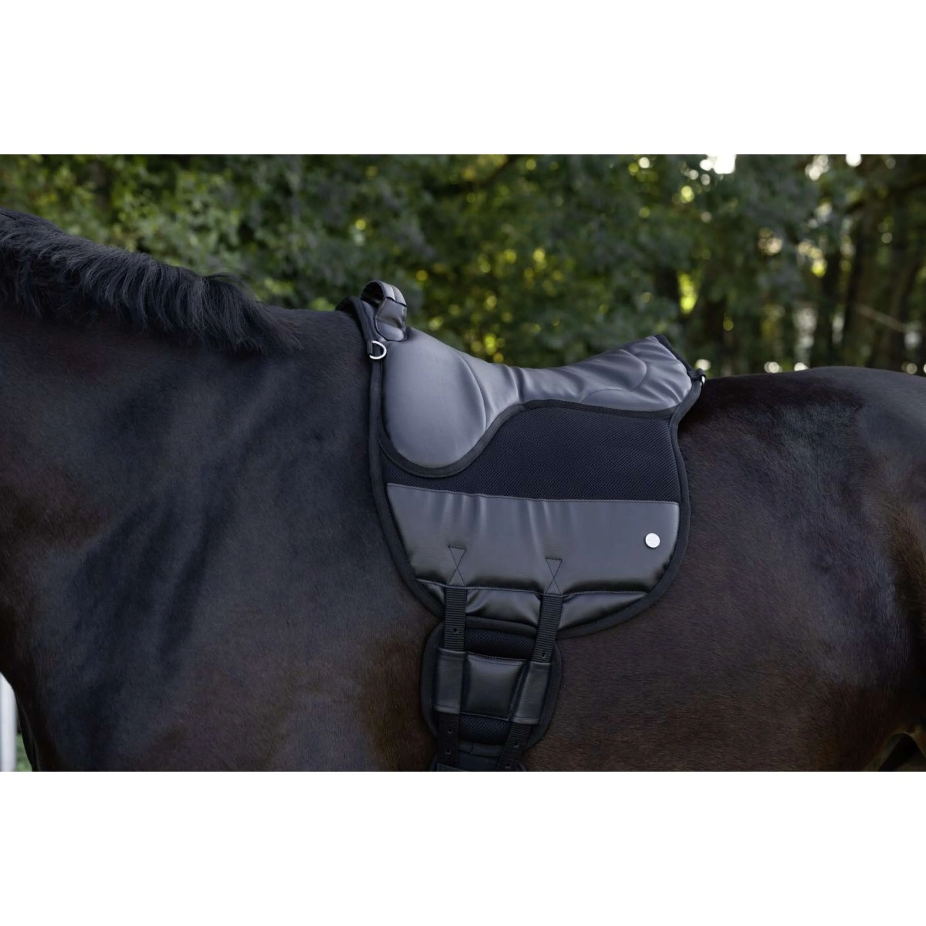 Kerbl Bareback Pad Airide Nero - Image 2