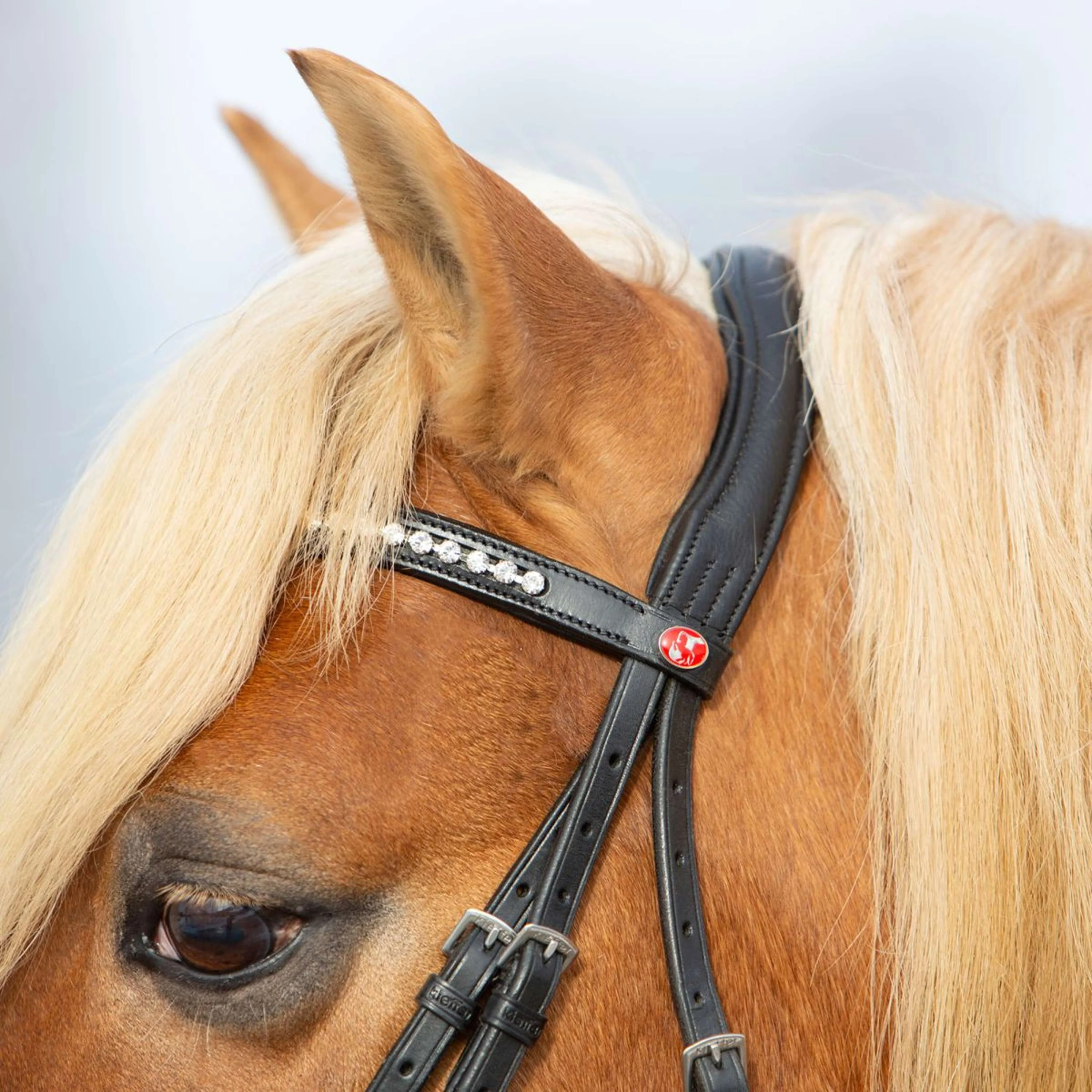 Kieffer Briglia Ultrasoft Haflinger Nero/Bianche Pietre - Image 5