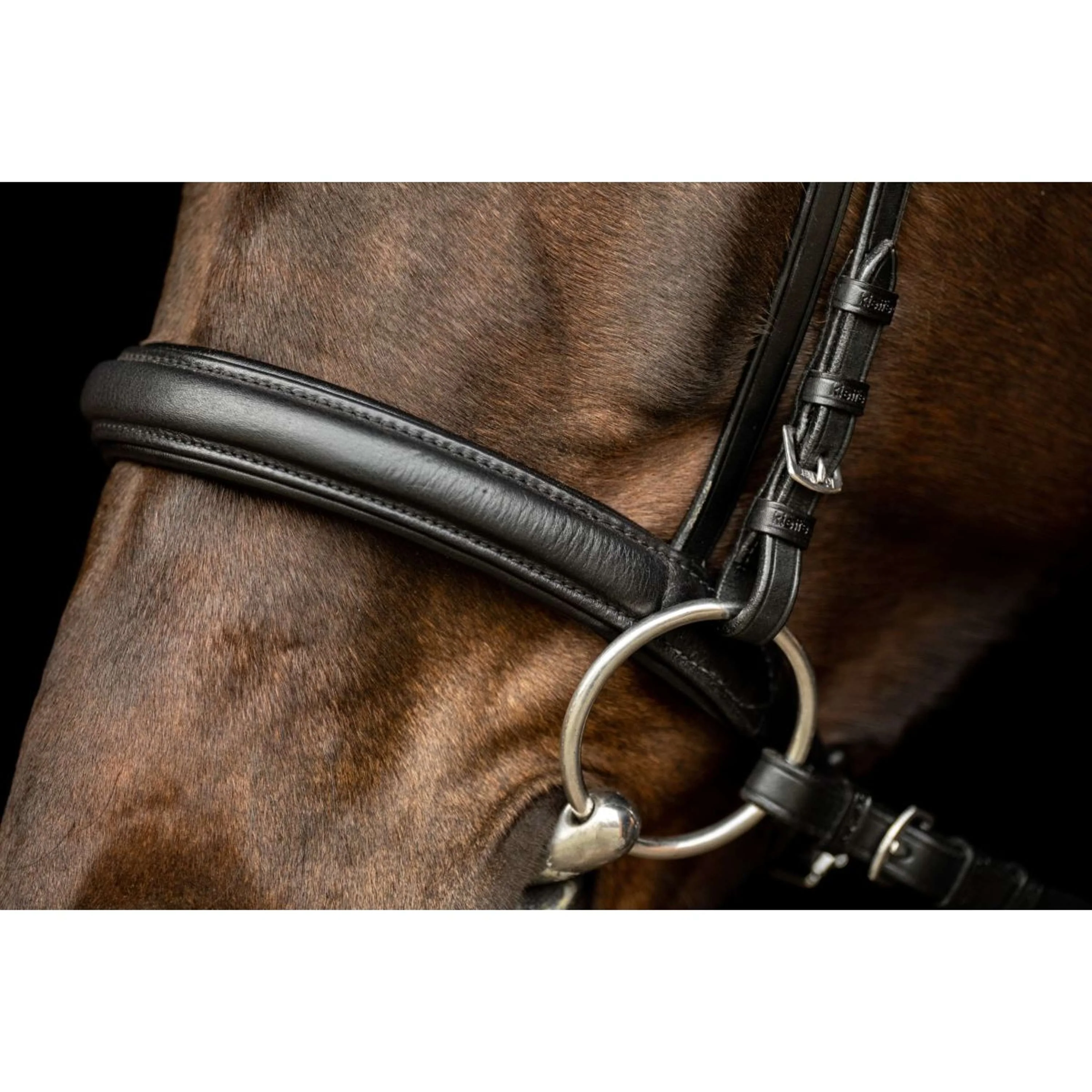 Kieffer Testiera Ultrasoft Sue con Cristalli Nero/Bianco - Image 14
