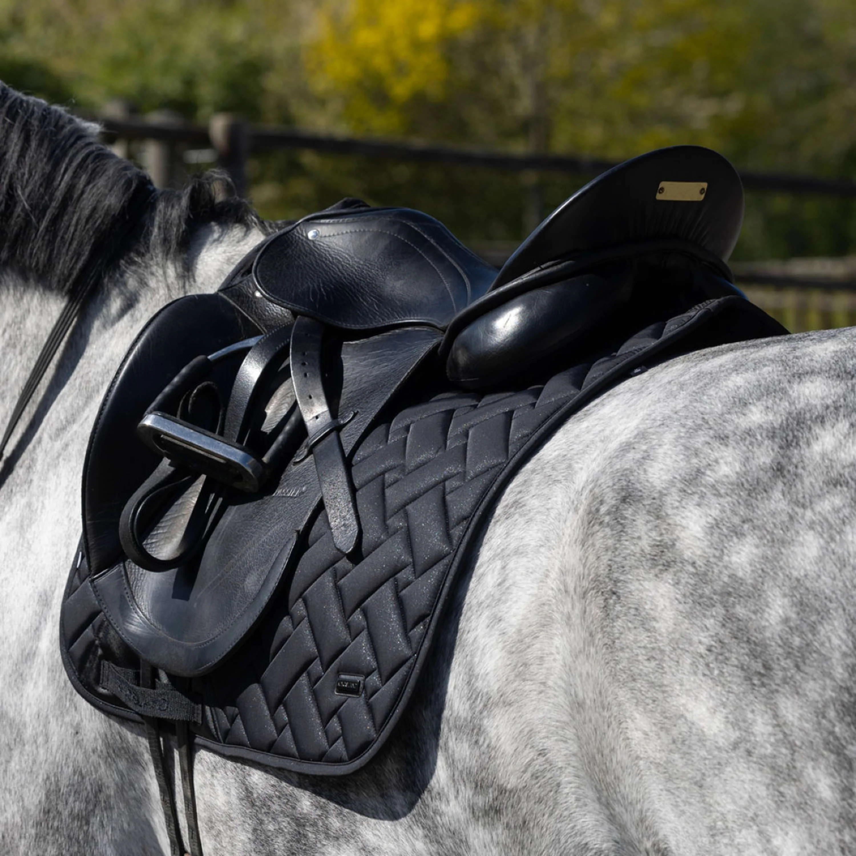 Kingsland Sottosella KLLexie Dressage Nero - Image 2