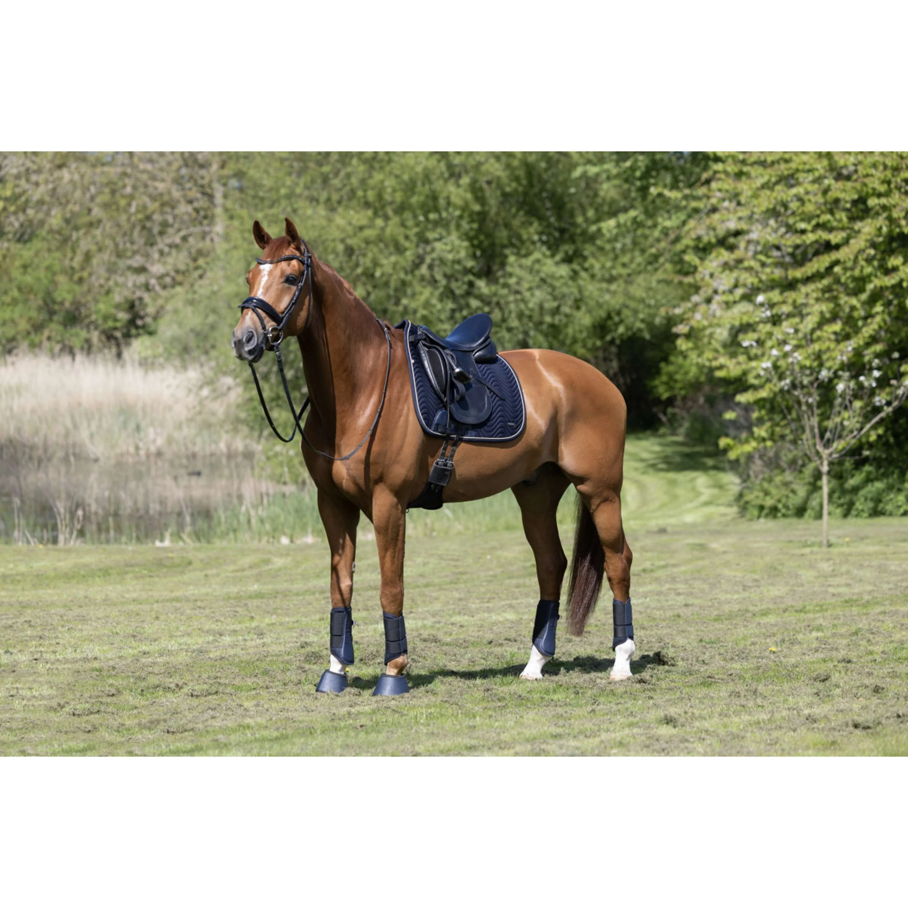 Kingsland Sottosella KLLucca Cooling Dressage Navy - Image 4