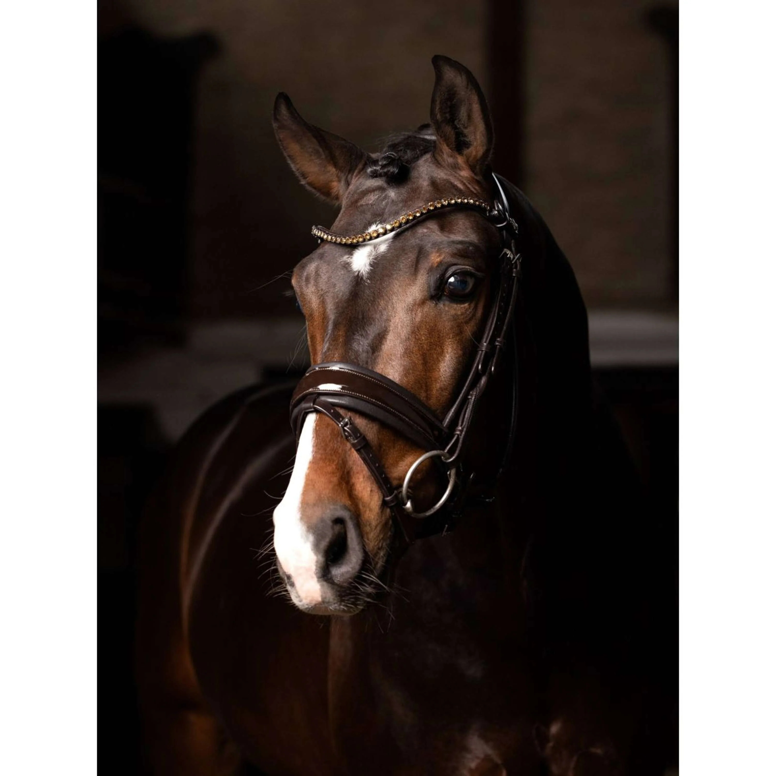 LeMieux Briglia Kudos Patent Dressage Marrone