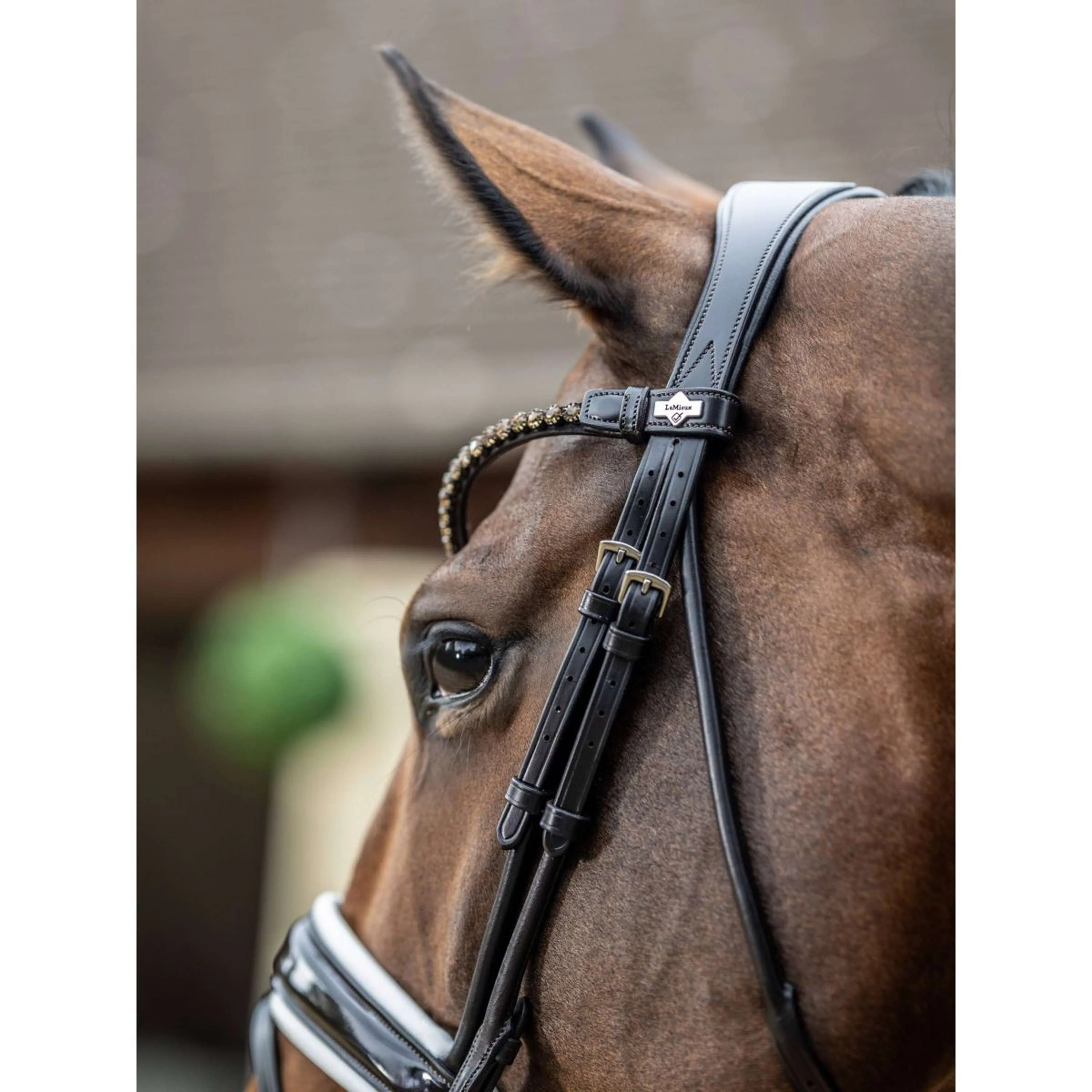 LeMieux Briglia Kudos Patent Dressage Marrone/Bianco - Image 5