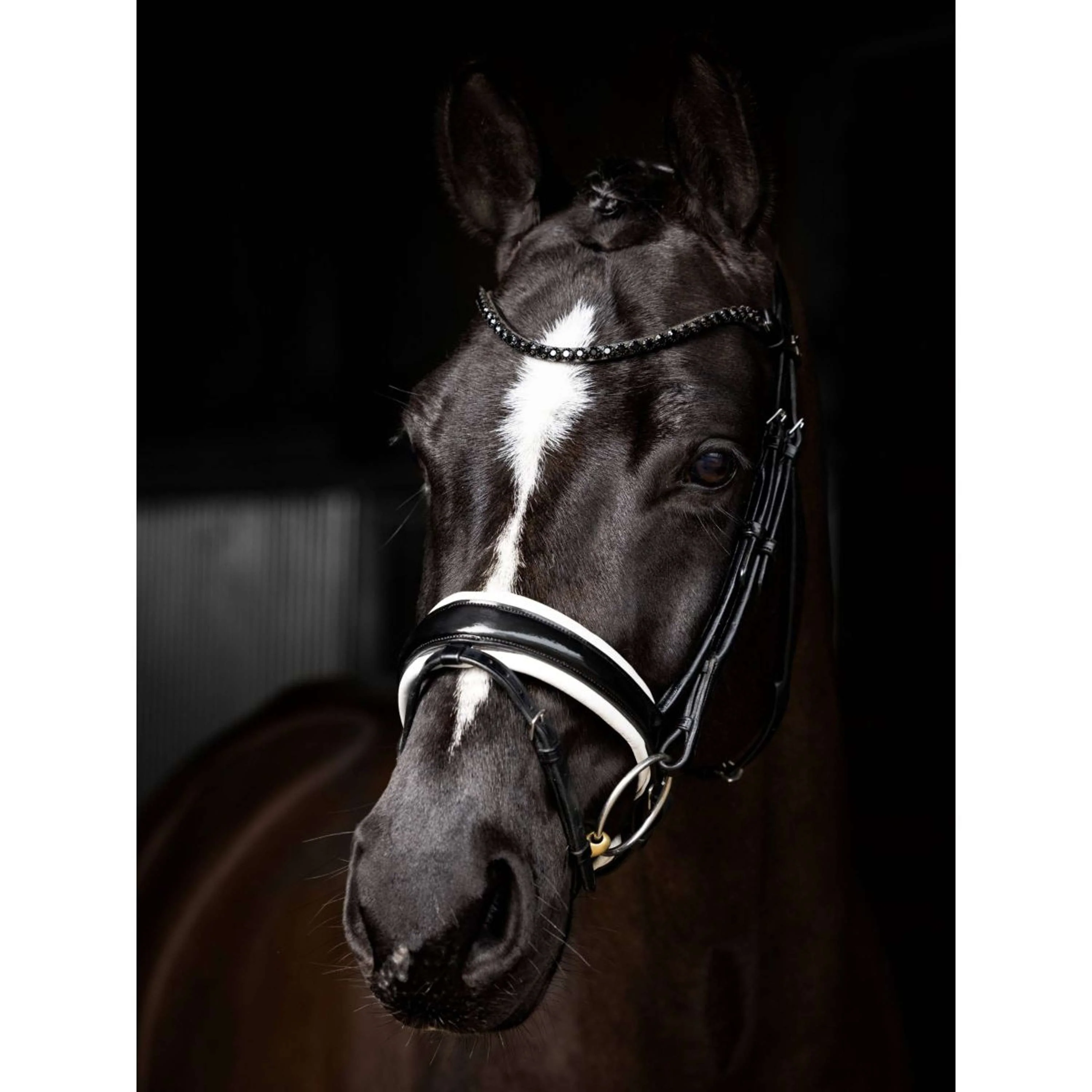 LeMieux Briglia Kudos Patent Dressage Nero Argento - Image 3