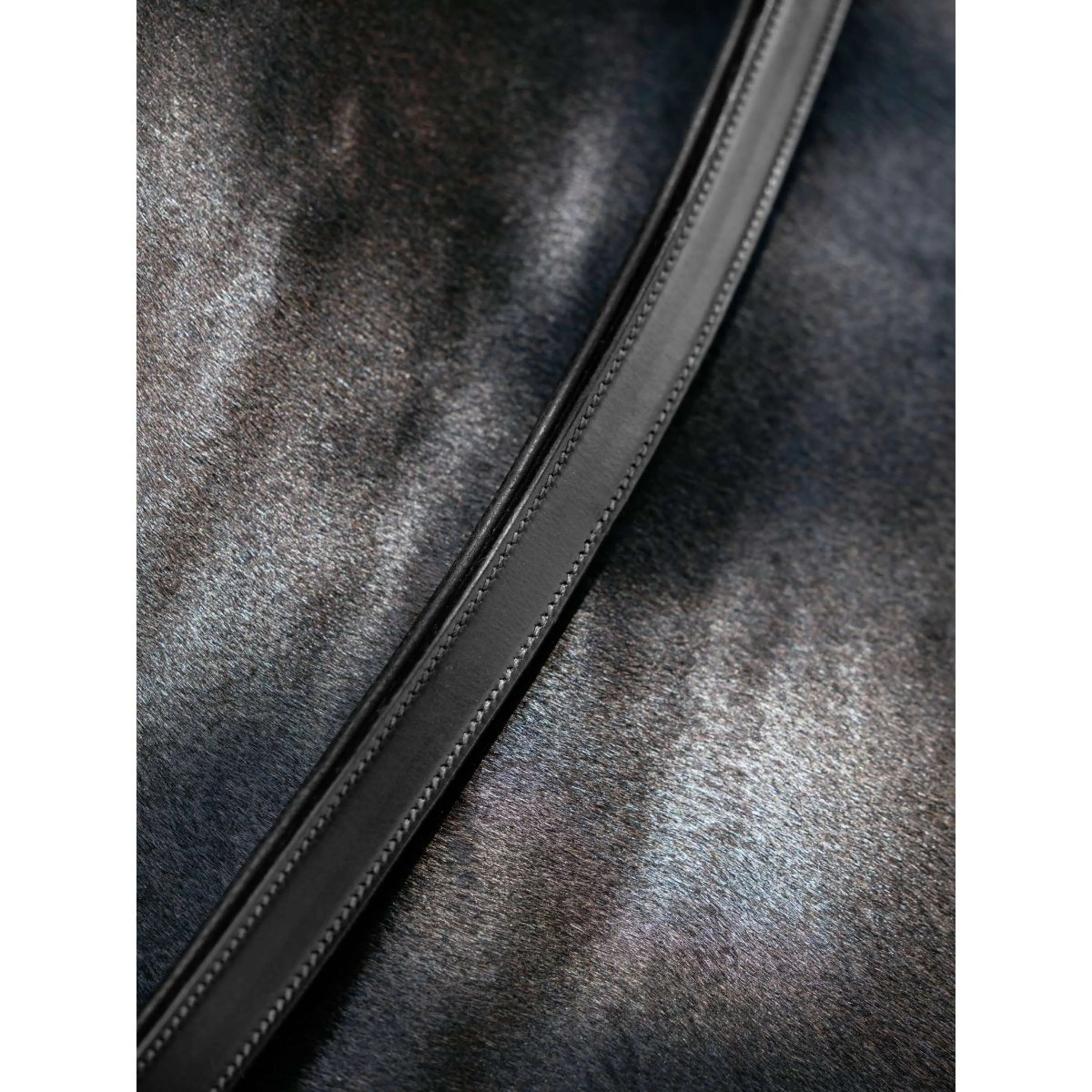 LeMieux Collare da collo Leather Nero - Image 2