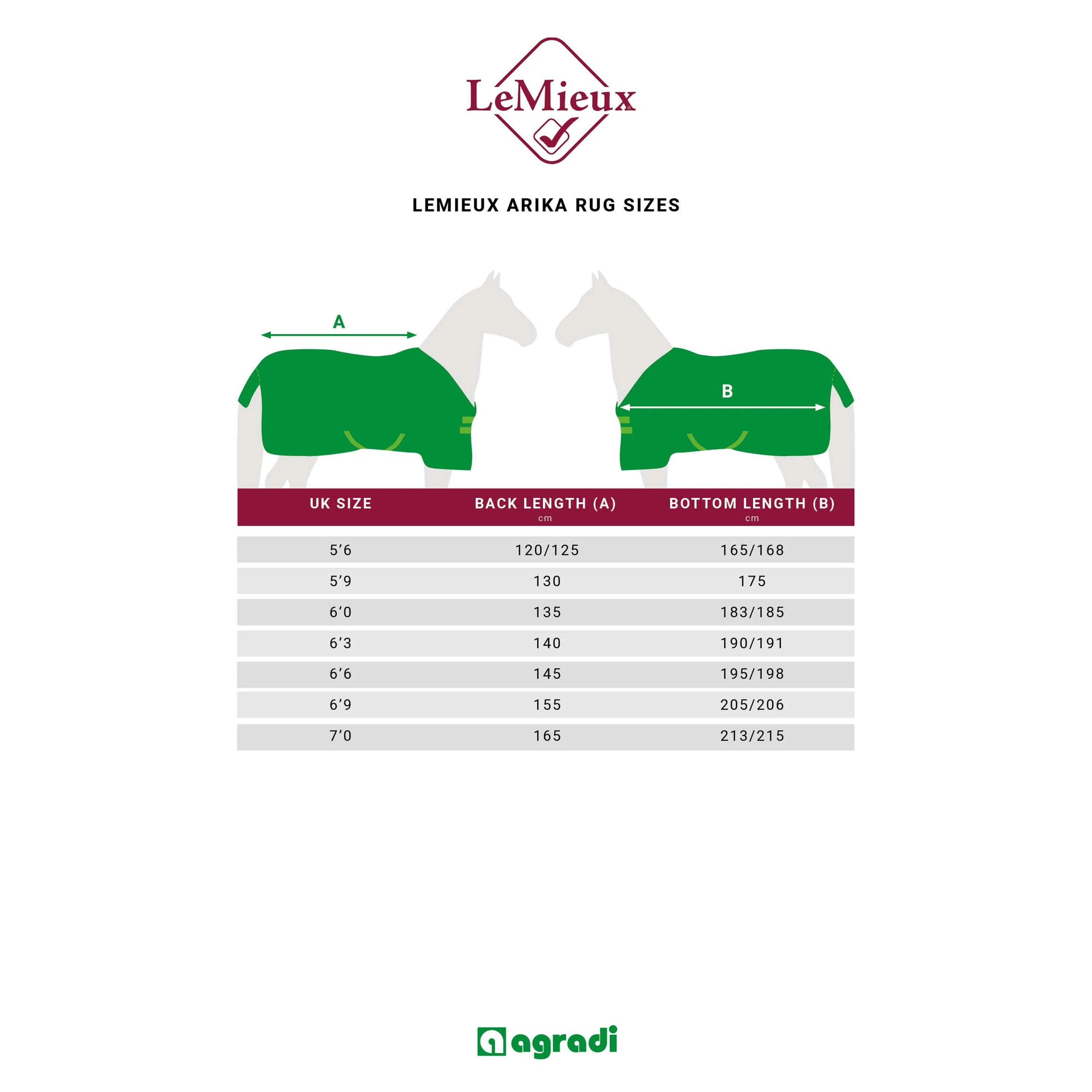 LeMieux Coperta da scuderia Arika Stable Navy - Image 11
