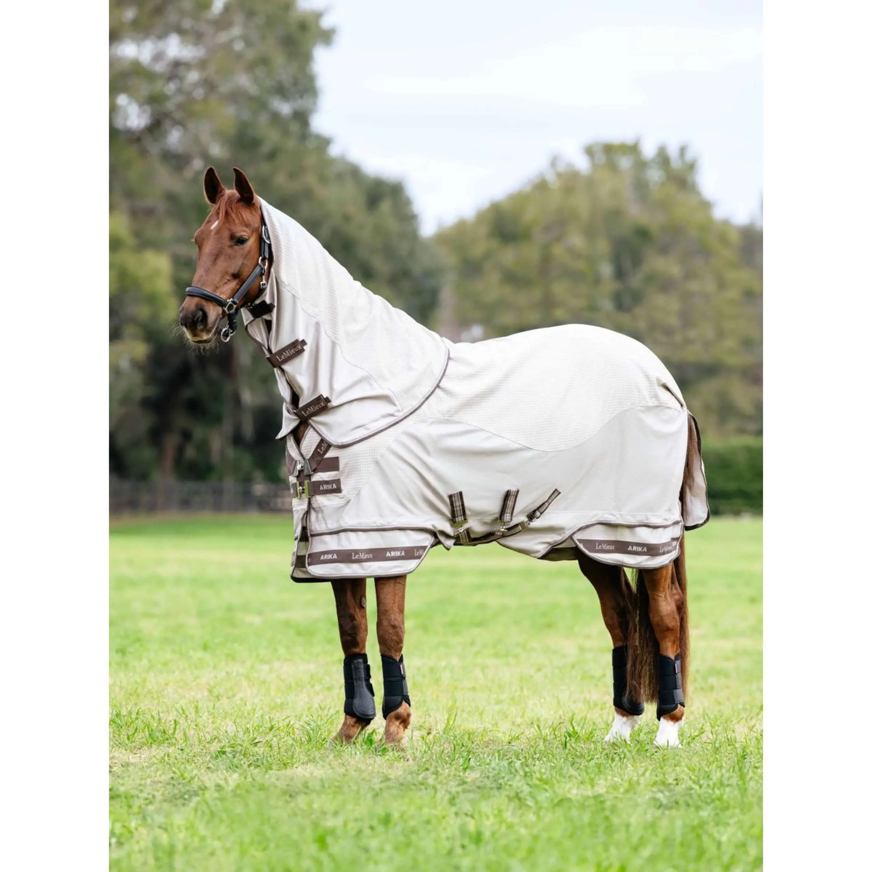 LeMieux Coperta Estiva Arika Sunstopper Calcolo - Image 5