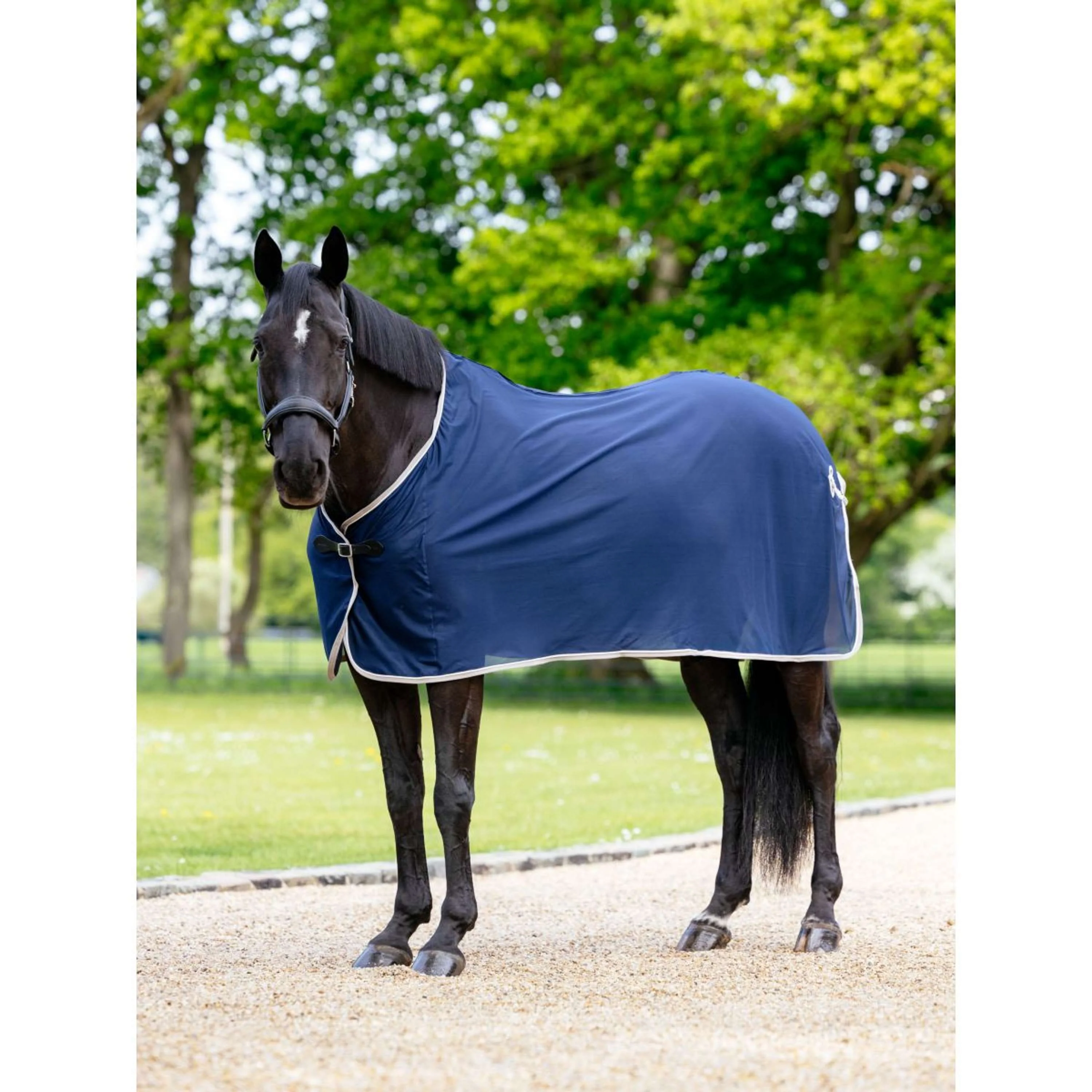 LeMieux Coperta Estiva Navy - Image 4