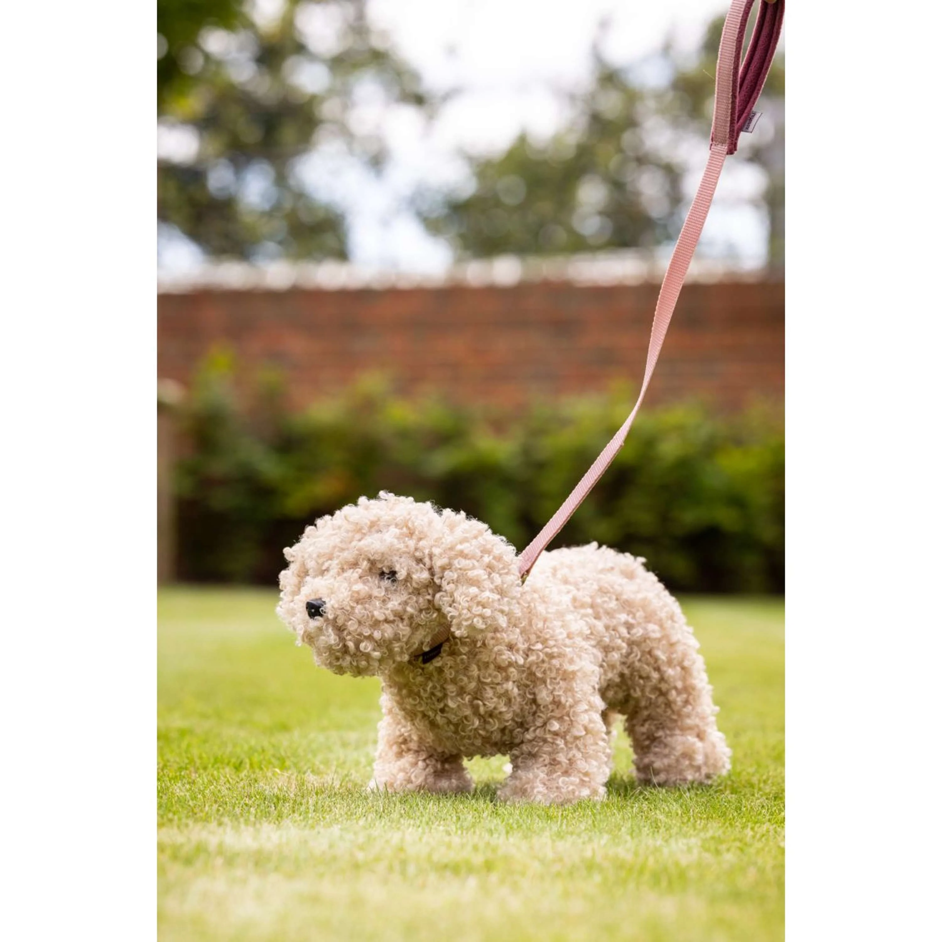 LeMieux Giocattoli Hond Cockapoo Beige - Image 2