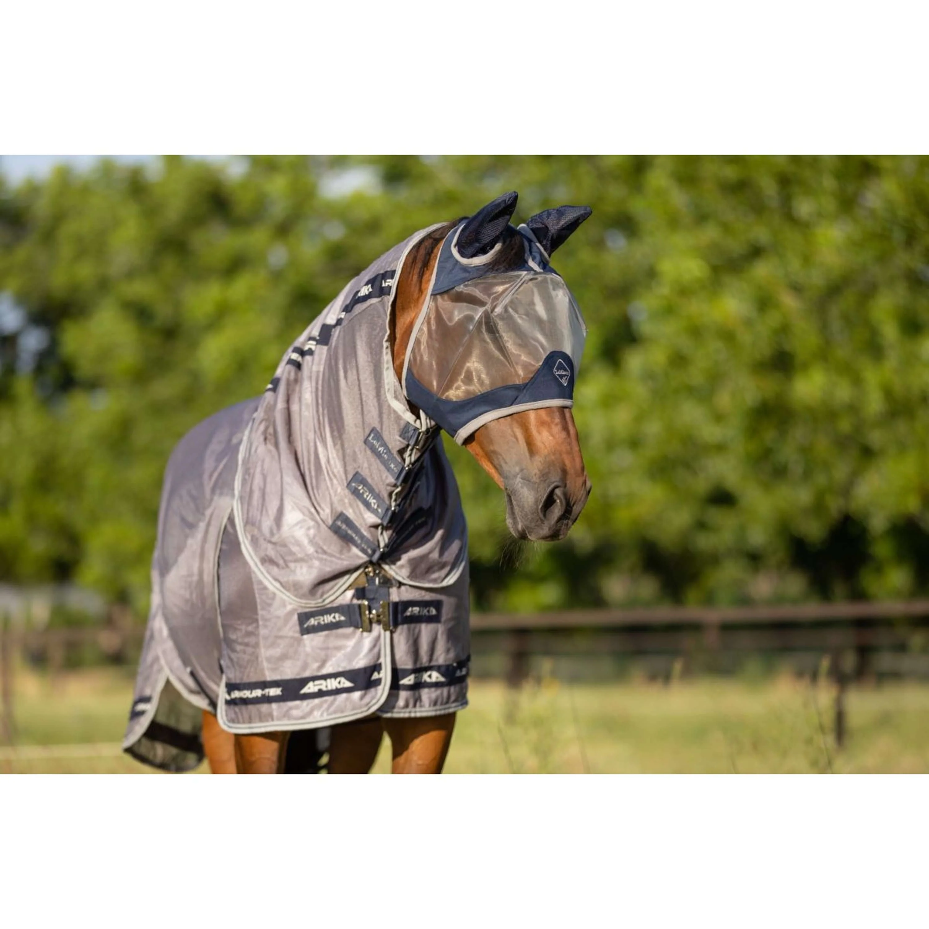 LeMieux Maschera Antimosche Amour Shield Pro con Orecchie Navy - Image 8