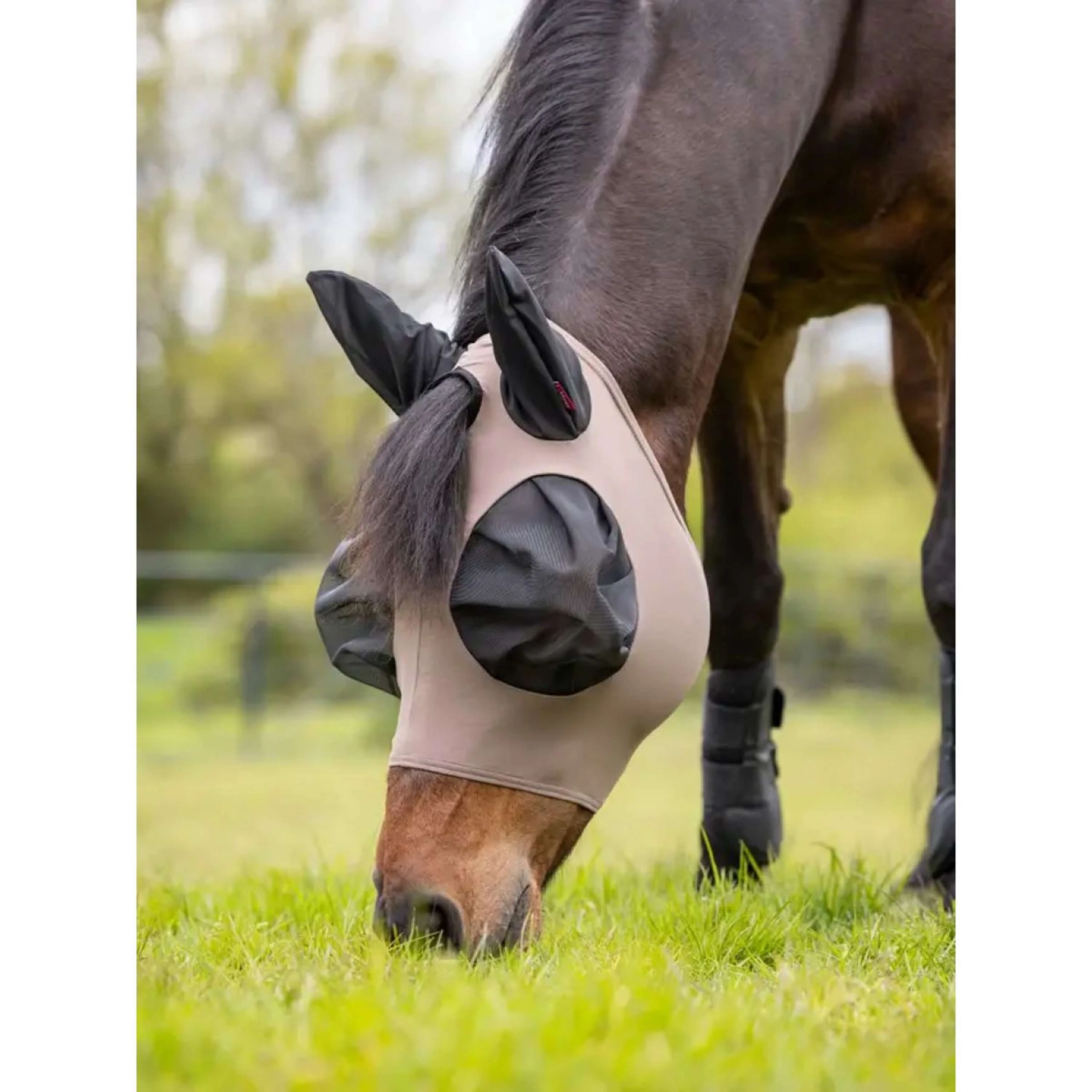 LeMieux Maschera per Mosche Bug Relief Noce - Image 2