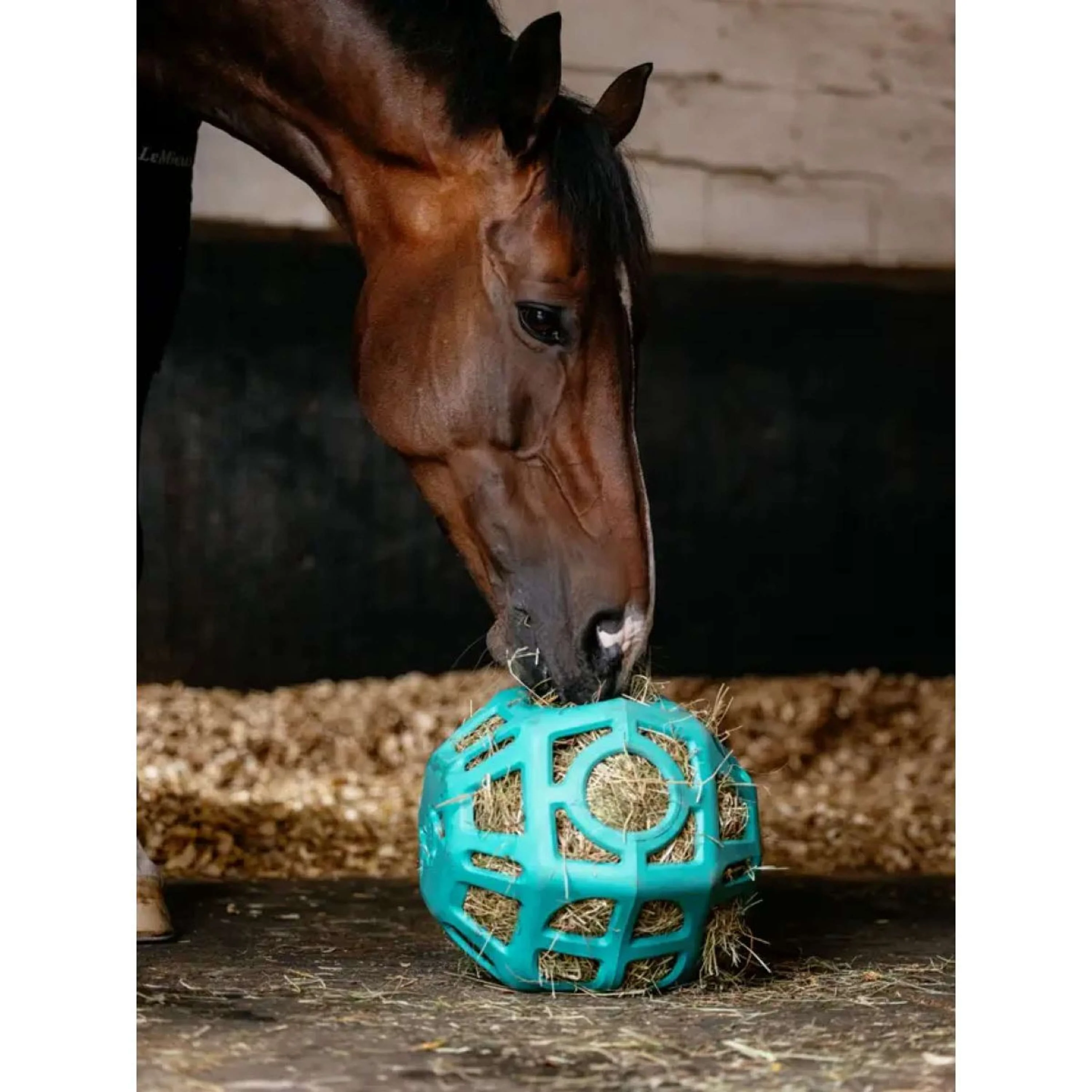 LeMieux Pallone da Gioco Hay Lagoon - Image 2
