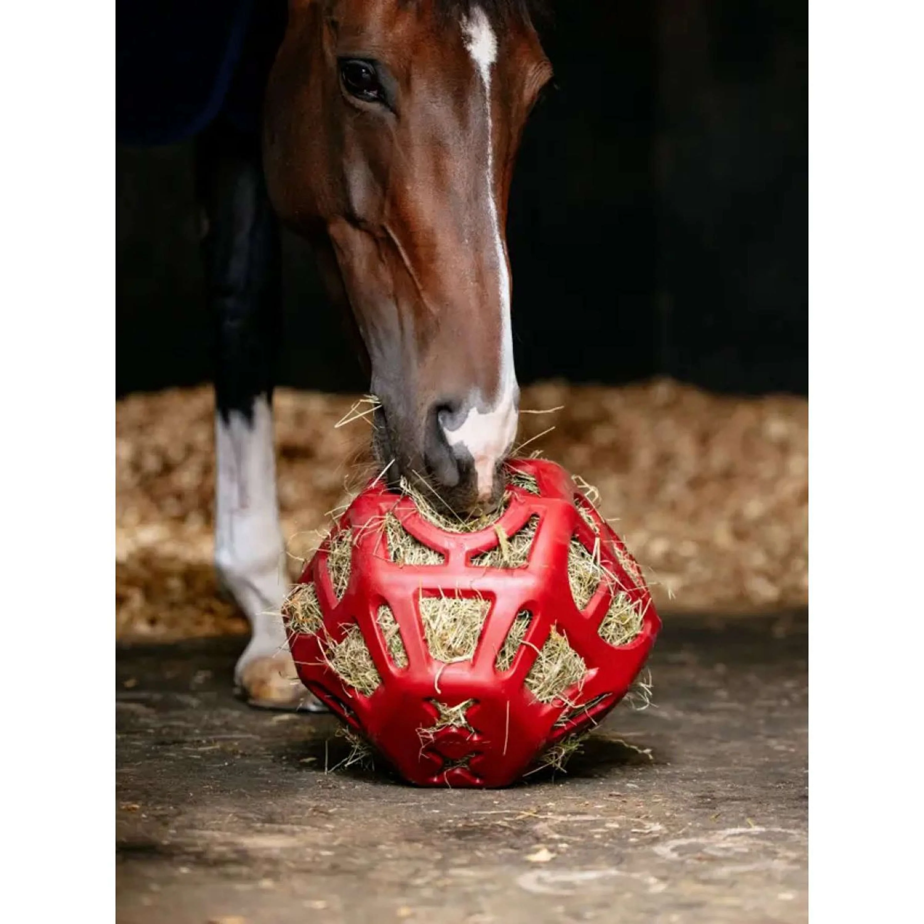LeMieux Pallone da Gioco Hay Peperoncino - Image 2