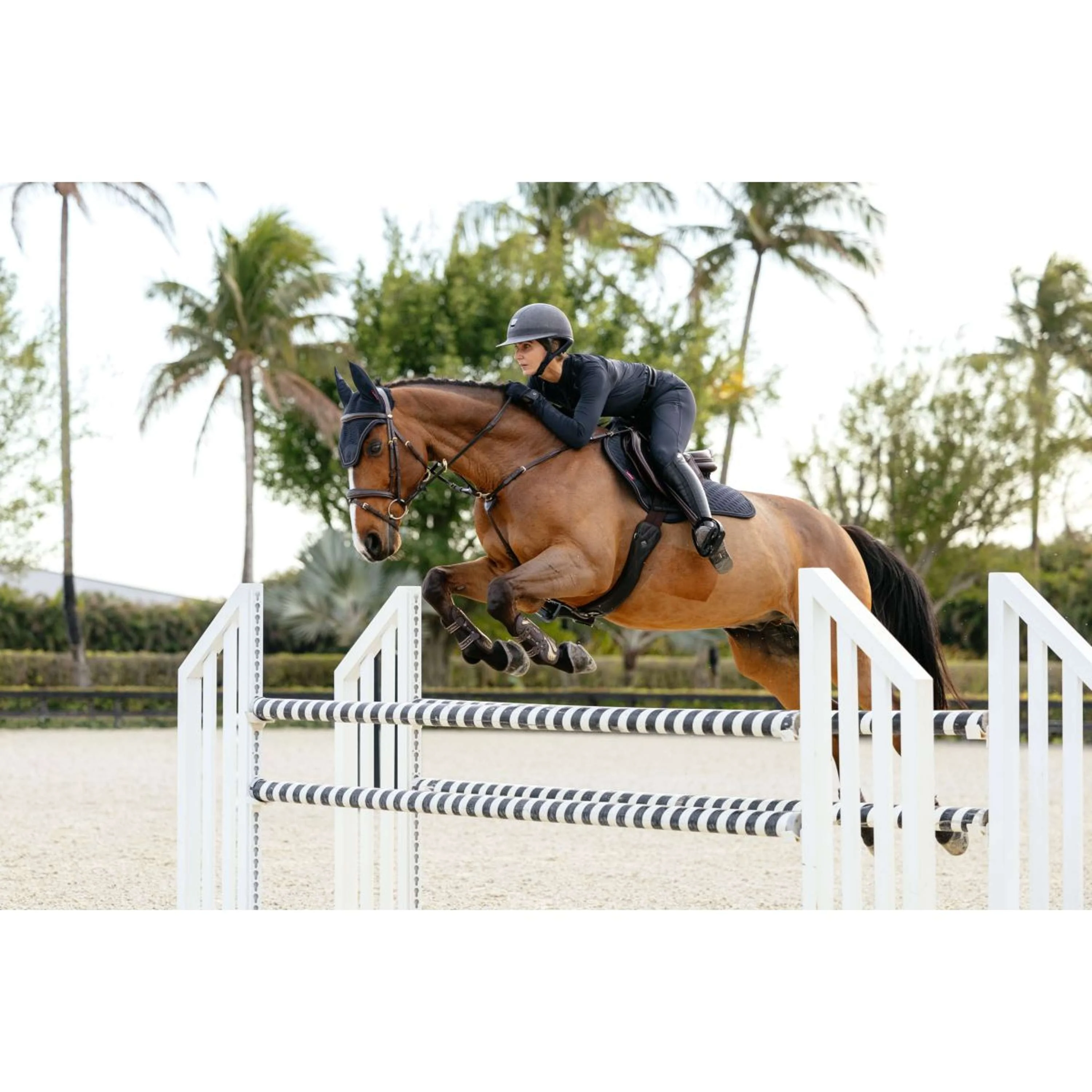 LeMieux Sottosella Brilliance Close Contact Square saltando Navy - Image 5