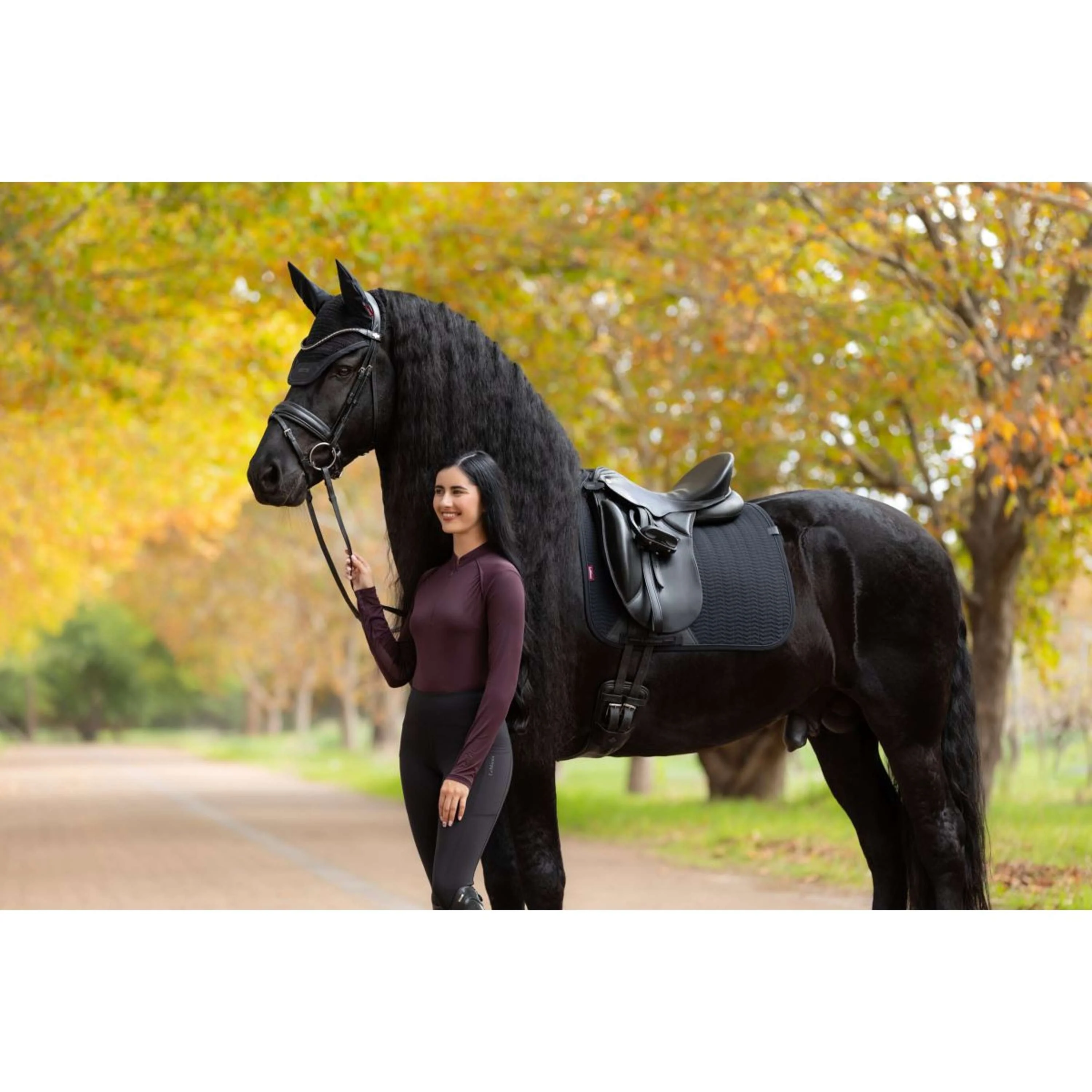 LeMieux Sottosella Essence Dressage Nero - Image 10