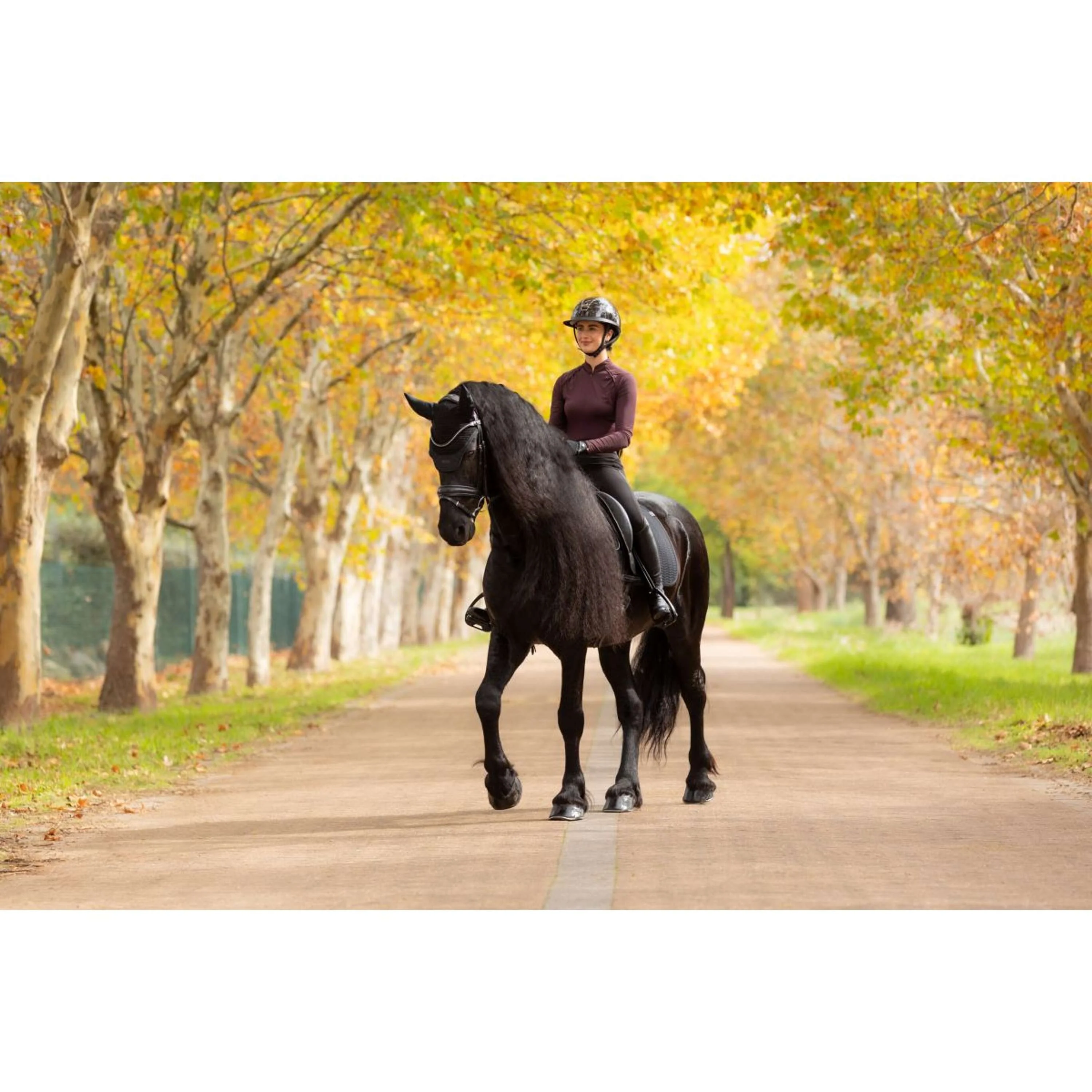 LeMieux Sottosella Essence Dressage Nero - Image 2
