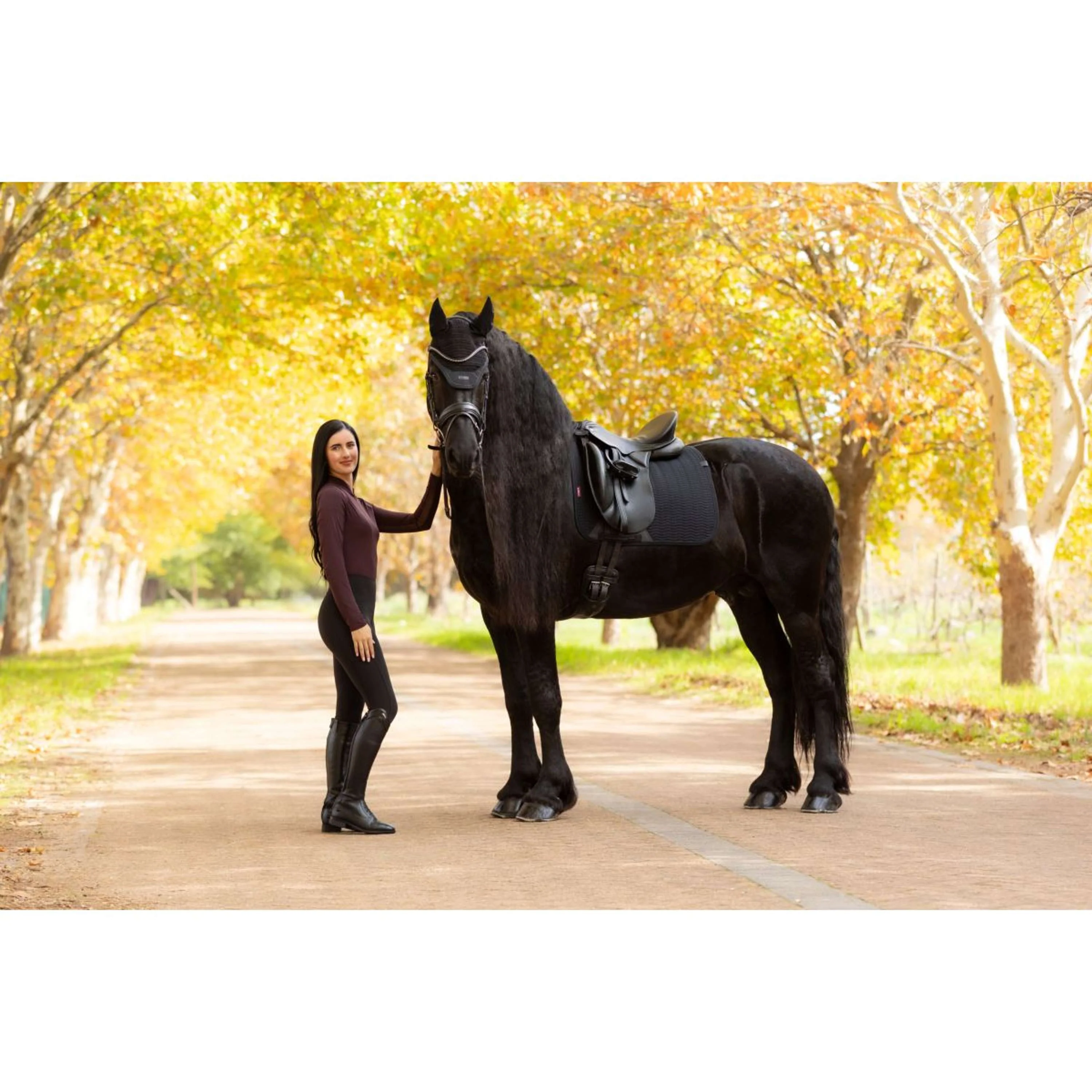LeMieux Sottosella Essence Dressage Nero - Image 5