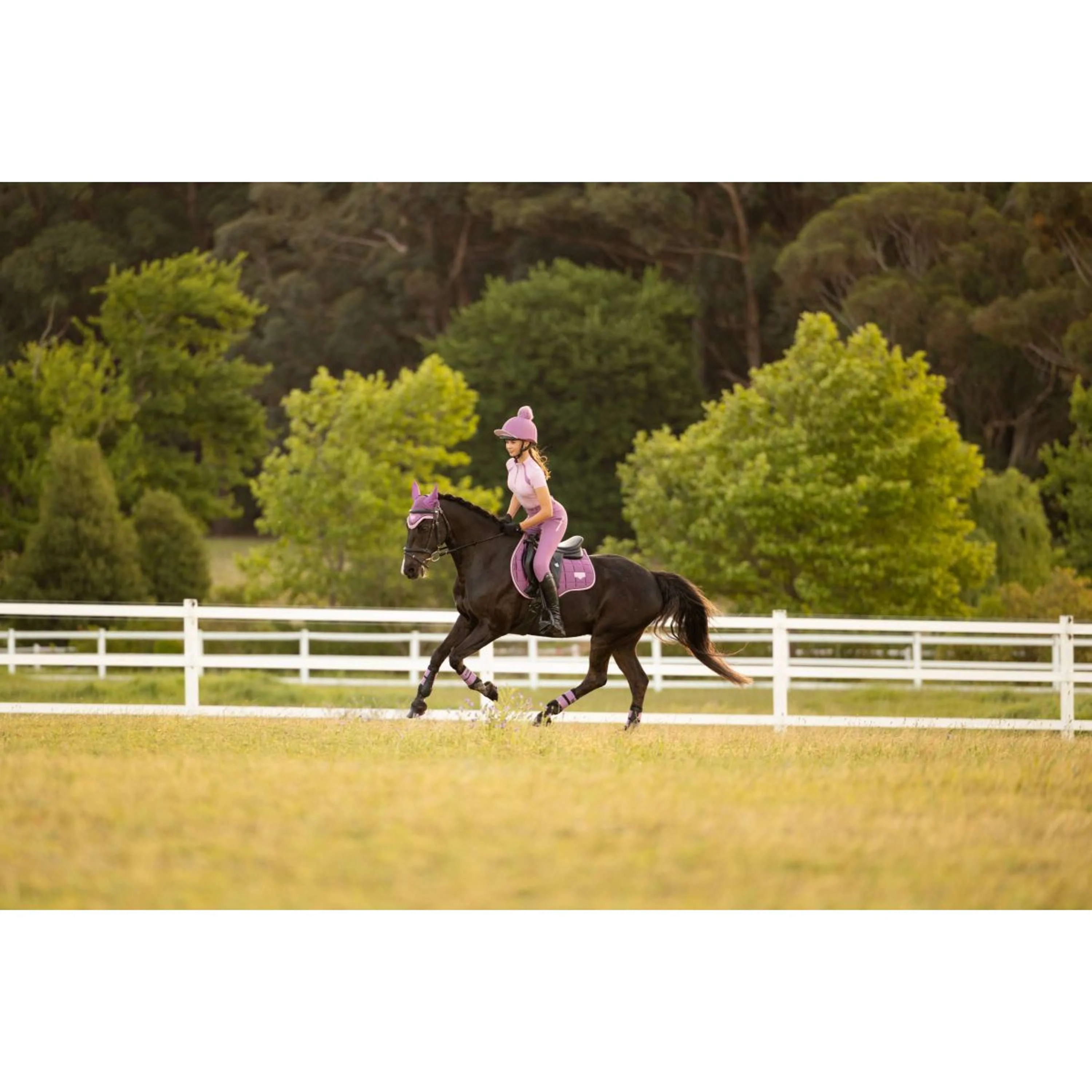 LeMieux Sottosella Loire Classic Square Uso generale Mallow - Image 17