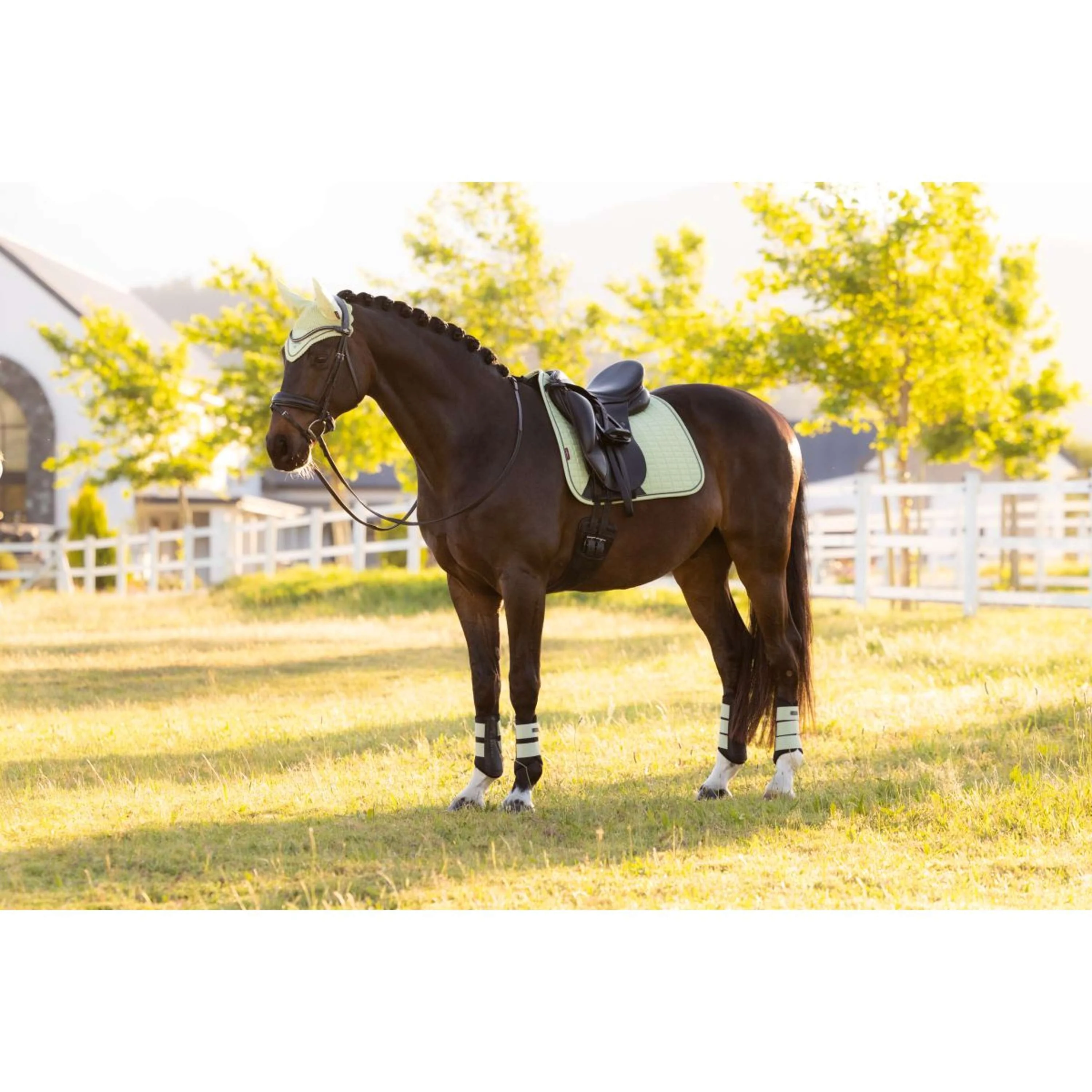 LeMieux Sottosella Suede Square Dressage Macaron - Image 12