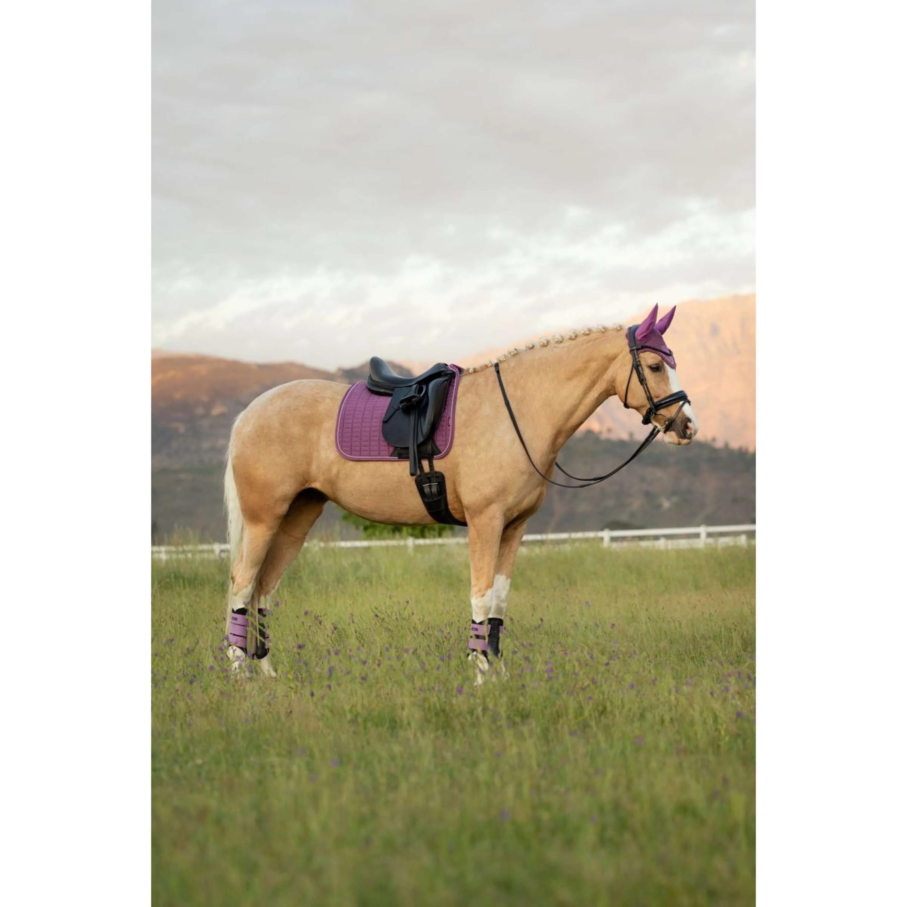 LeMieux Sottosella Suede Square Dressage Mallow - Image 5