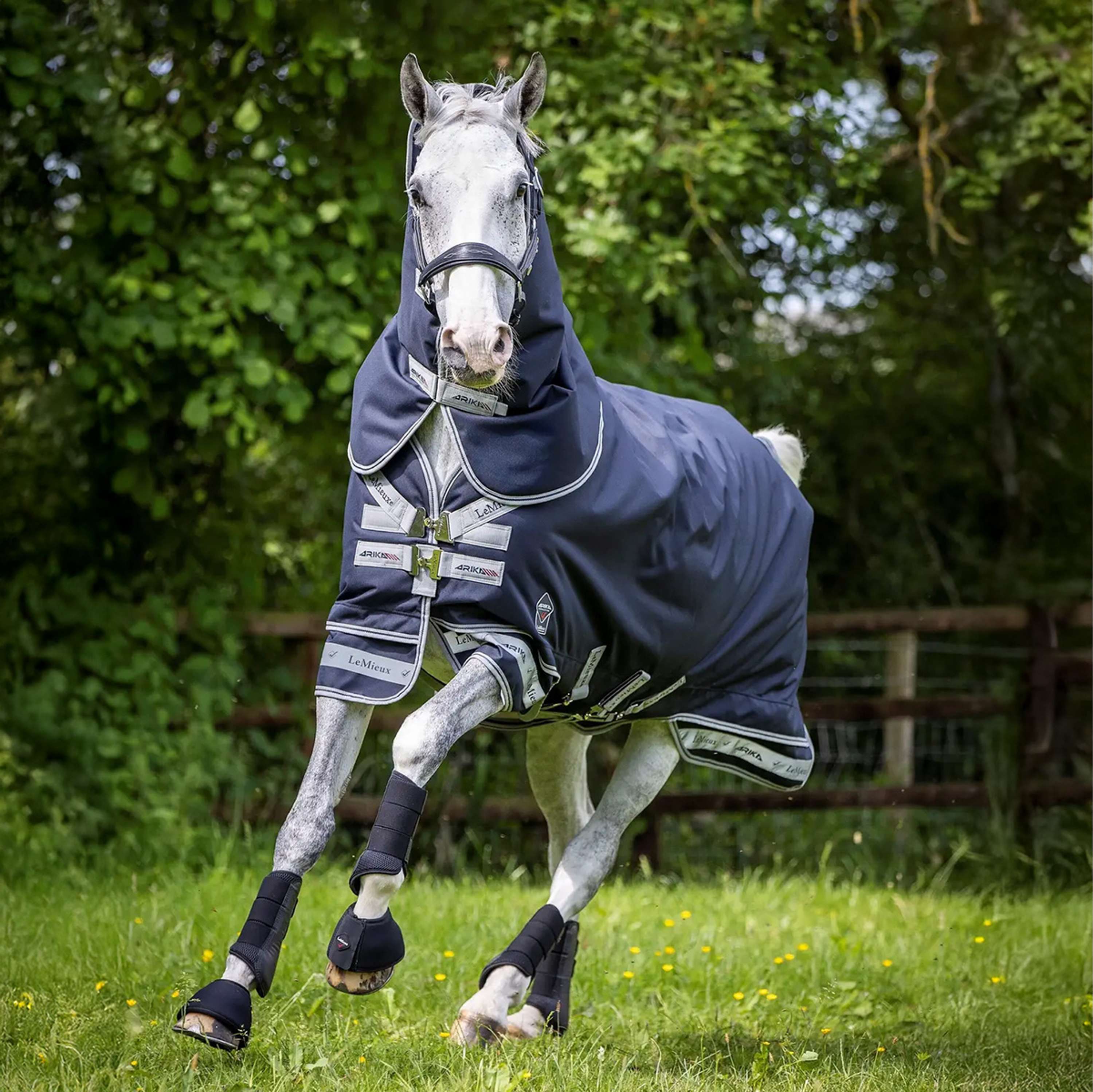 LeMieux Tappeto Arika Storm-Tek Turnout 100g Navy - Image 4