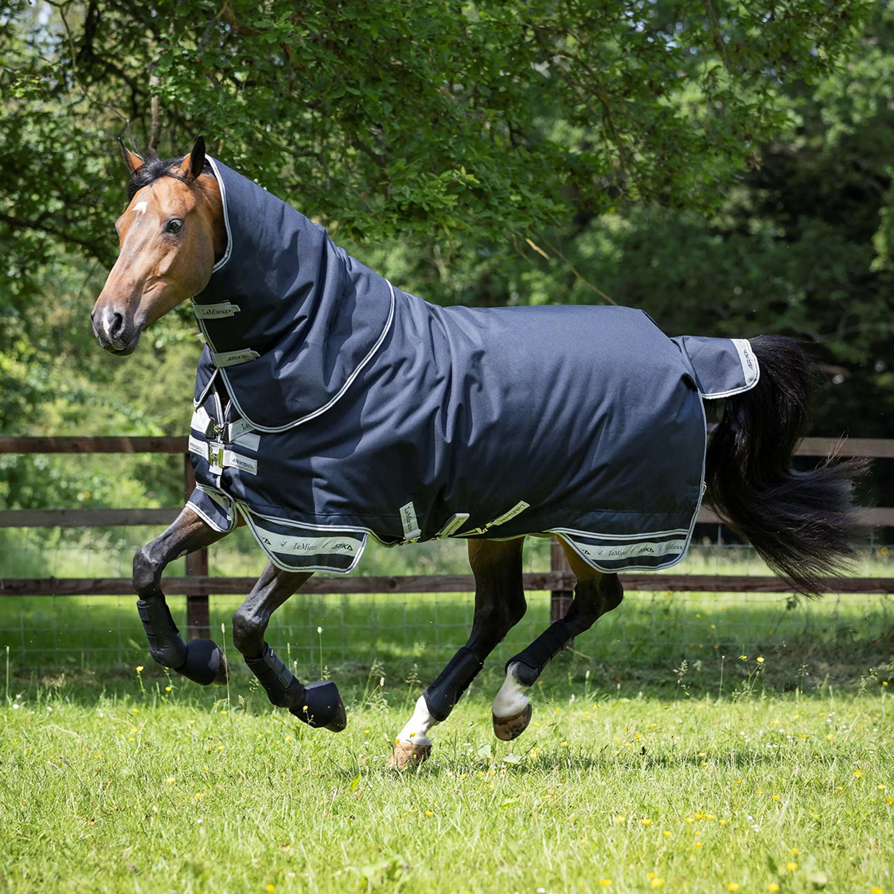 LeMieux Tappeto Arika Storm-Tek Turnout 100g Navy
