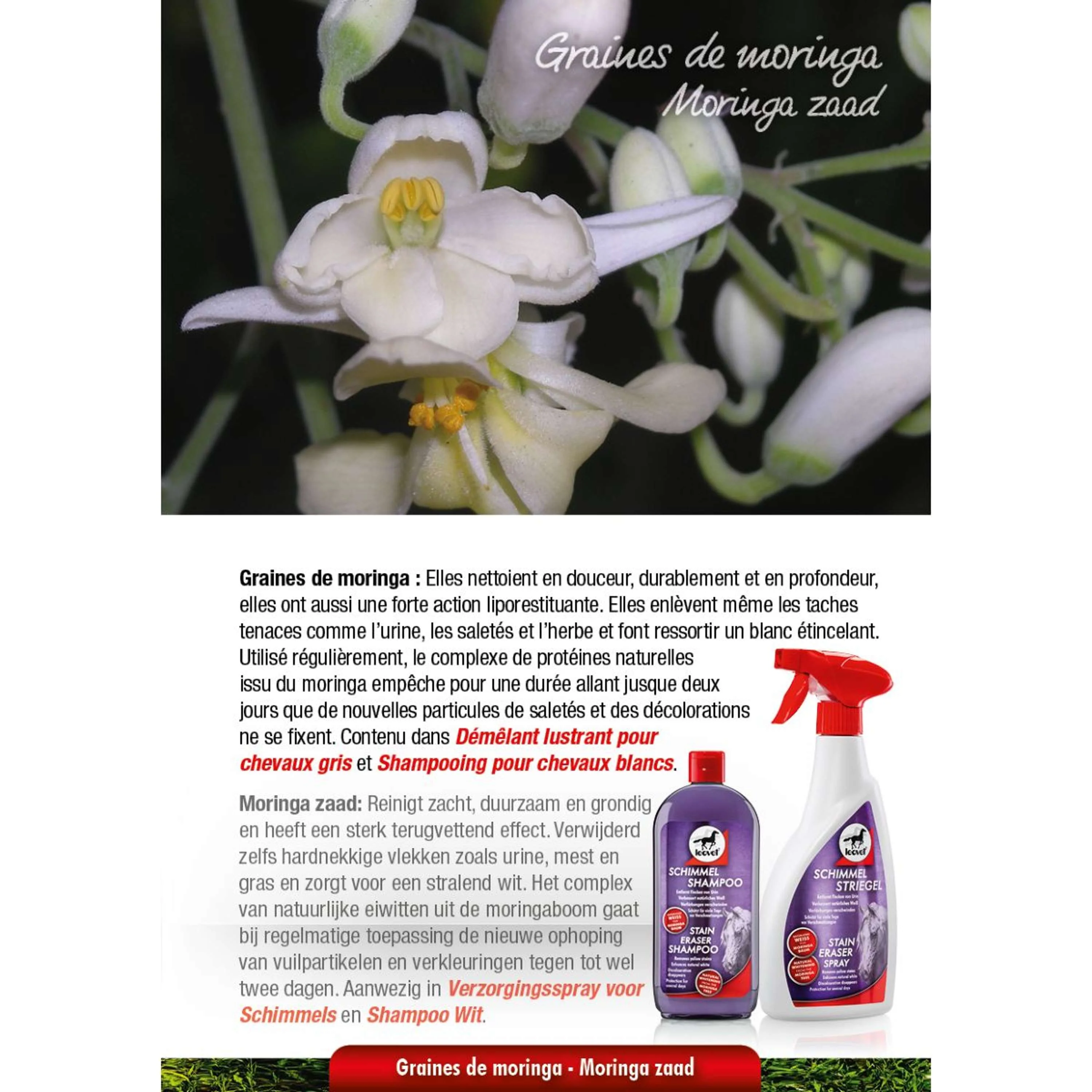 Leovet Shampoo Milton-White - Image 4