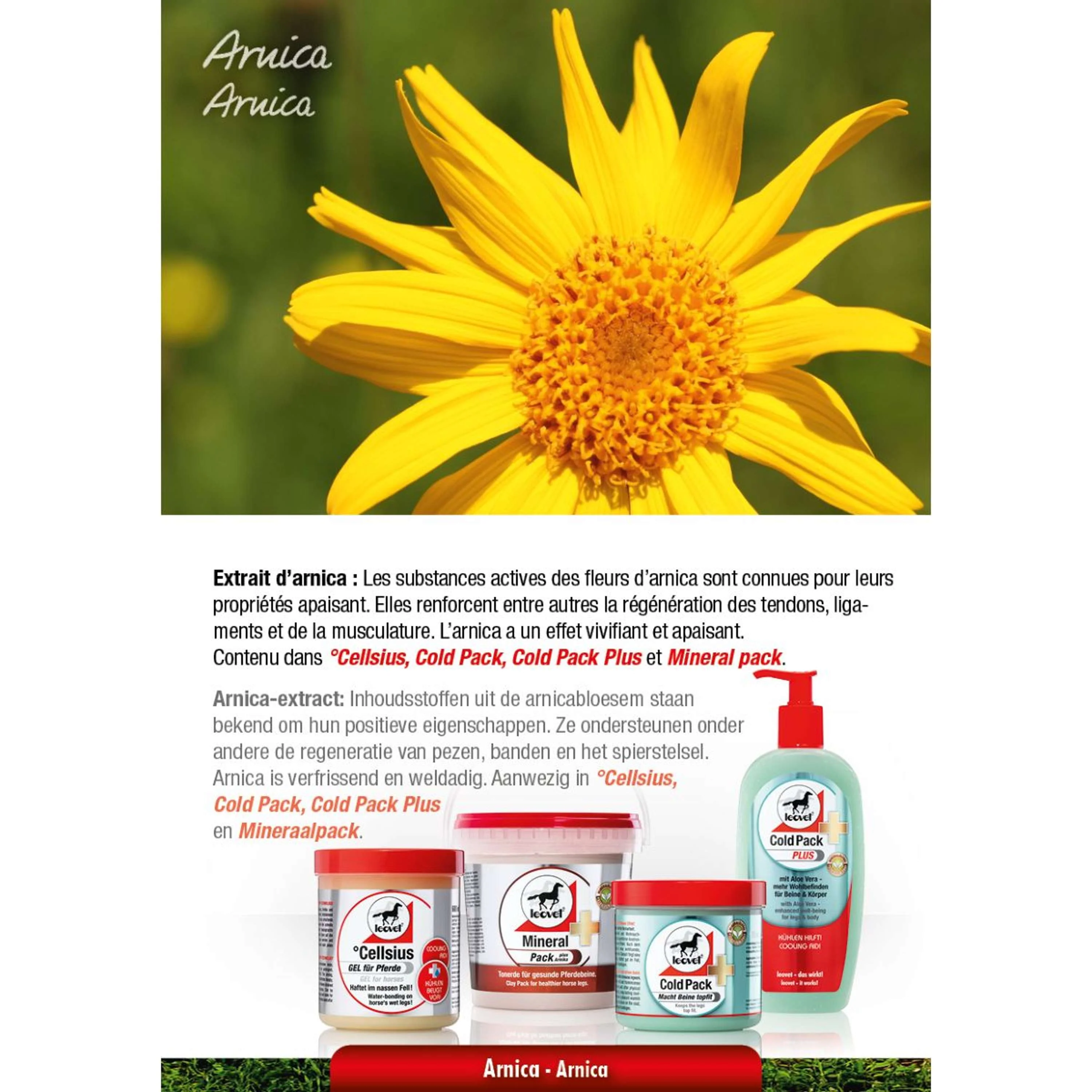 Leovet Power Shampoo Kamille - Image 3