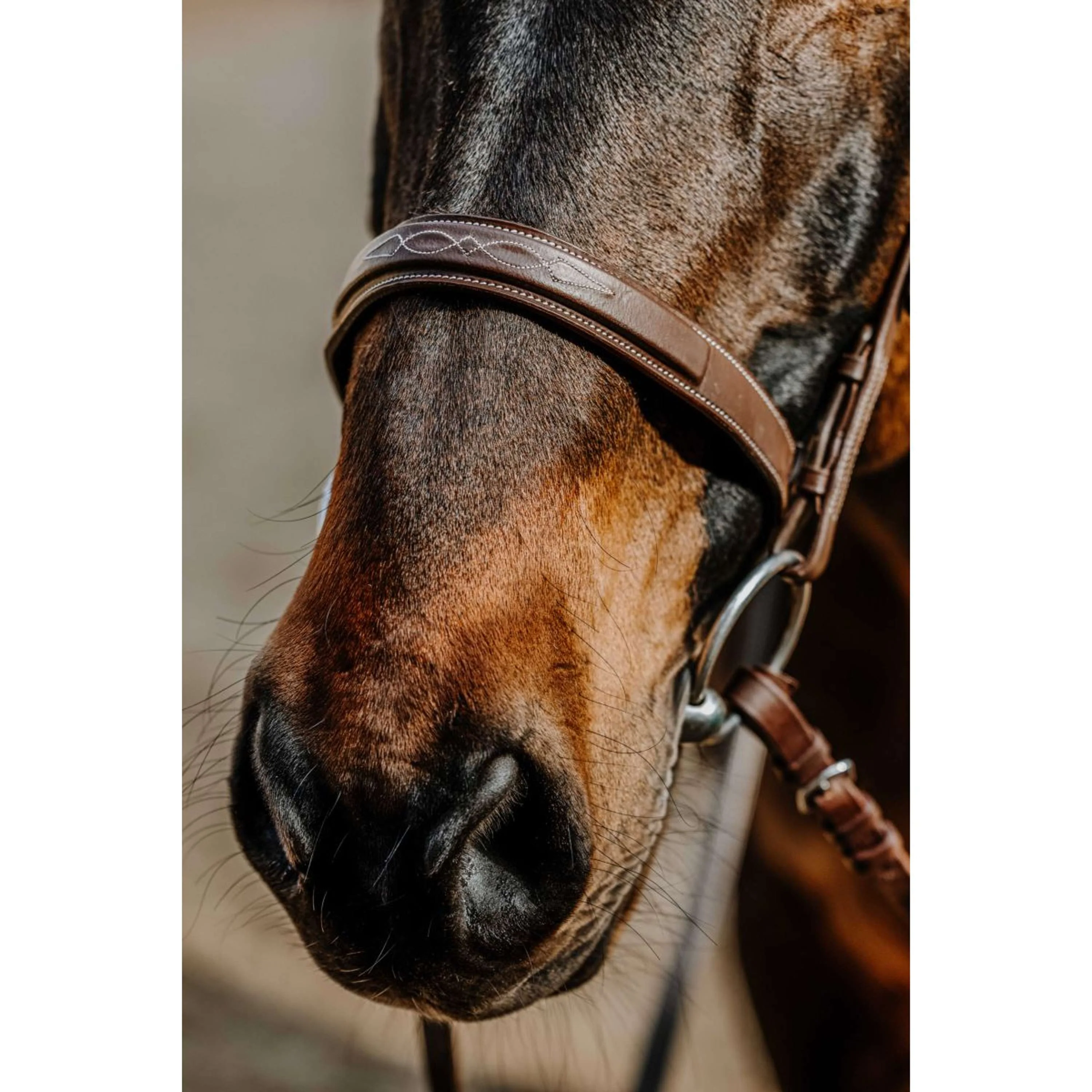 Norton Briglia Hunter Comfy Havanna - Image 2