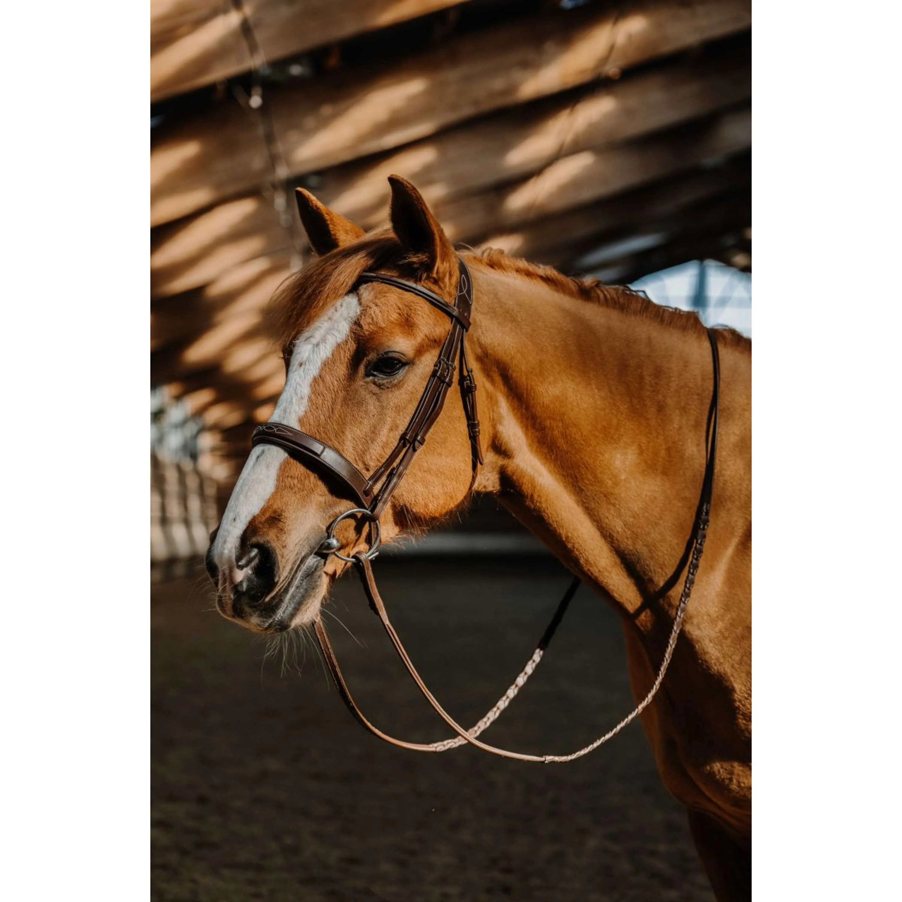 Norton Briglia Hunter Fancy Havanna