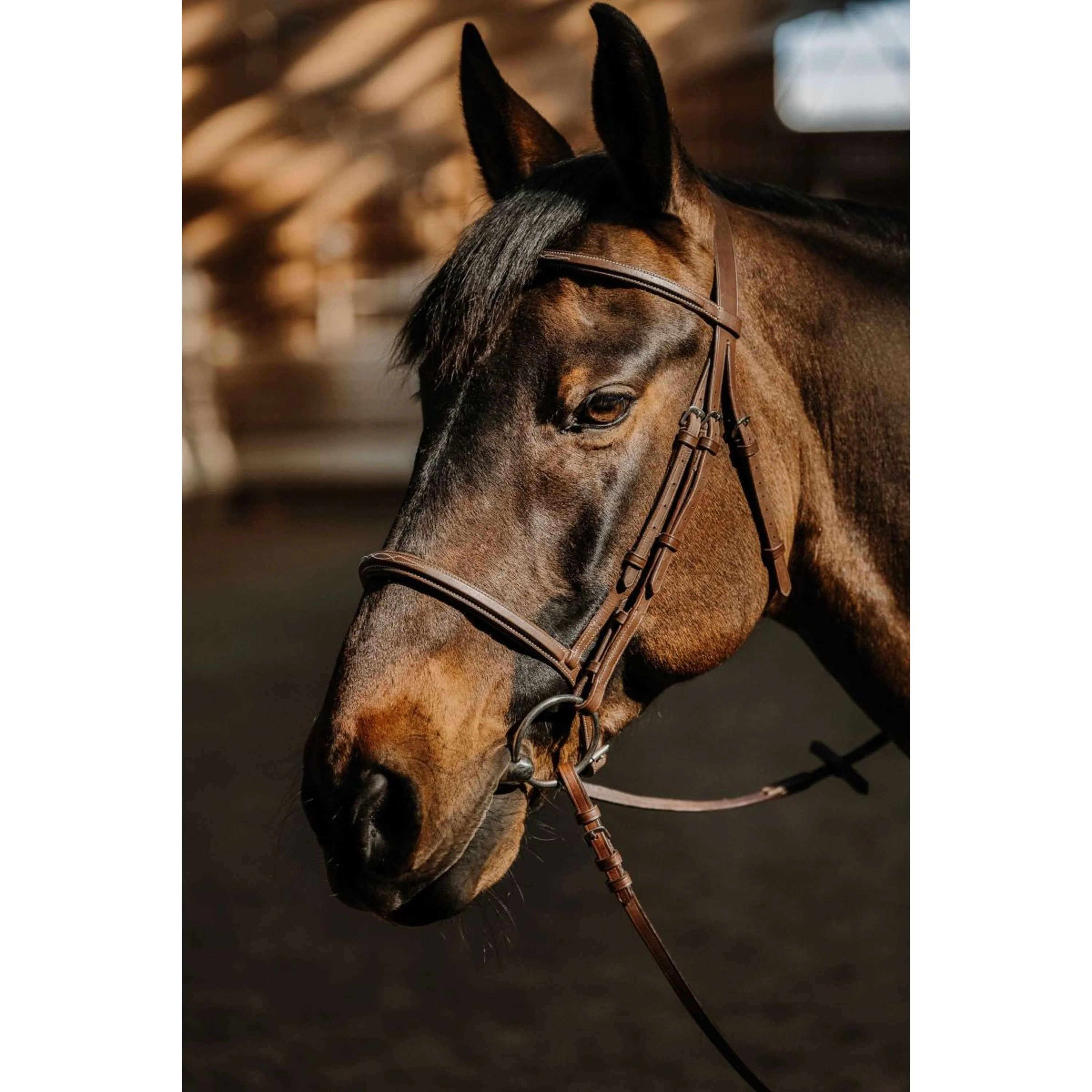 Norton Briglia Hunter Soft Havanna