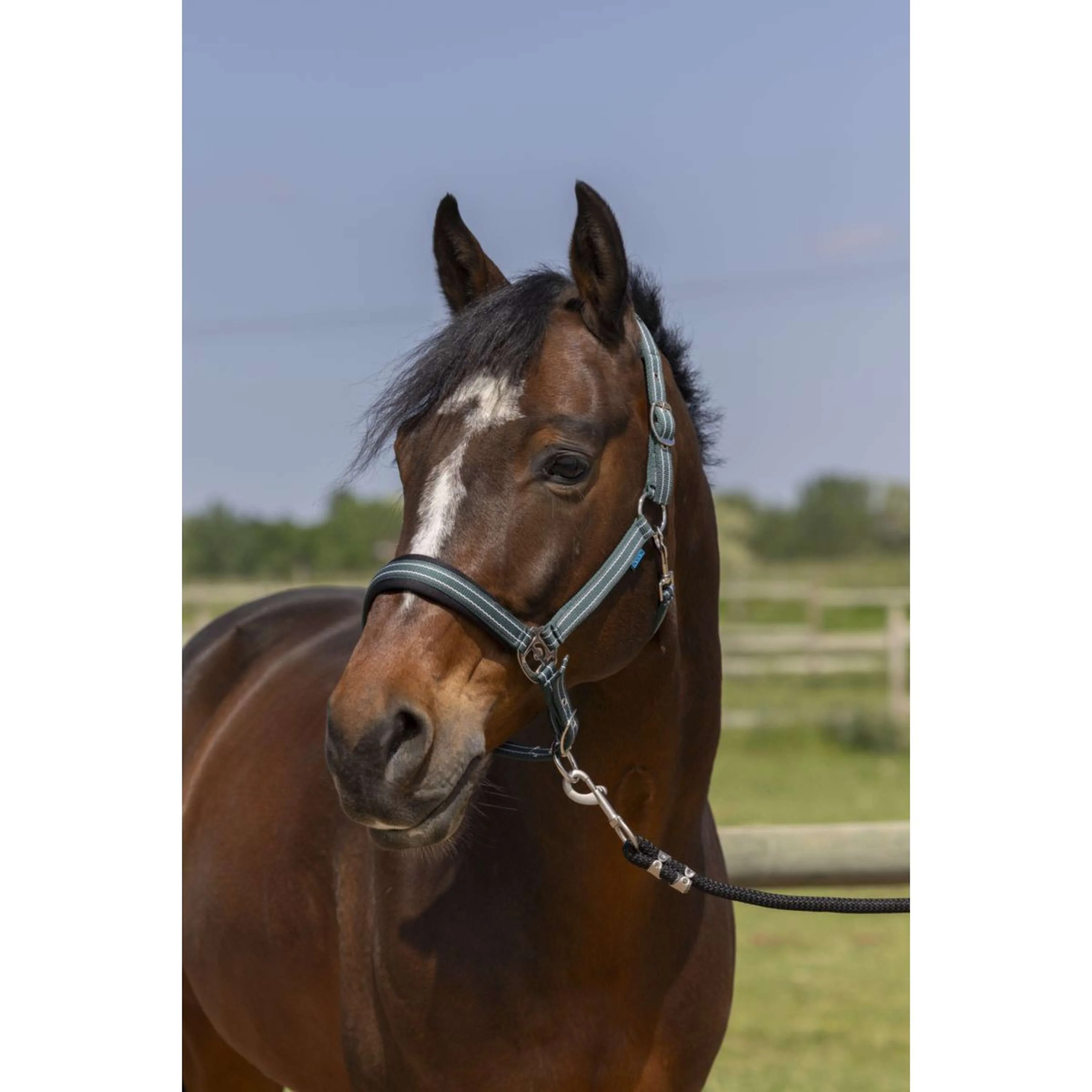 Norton Capezza 4Lines Verde scuro