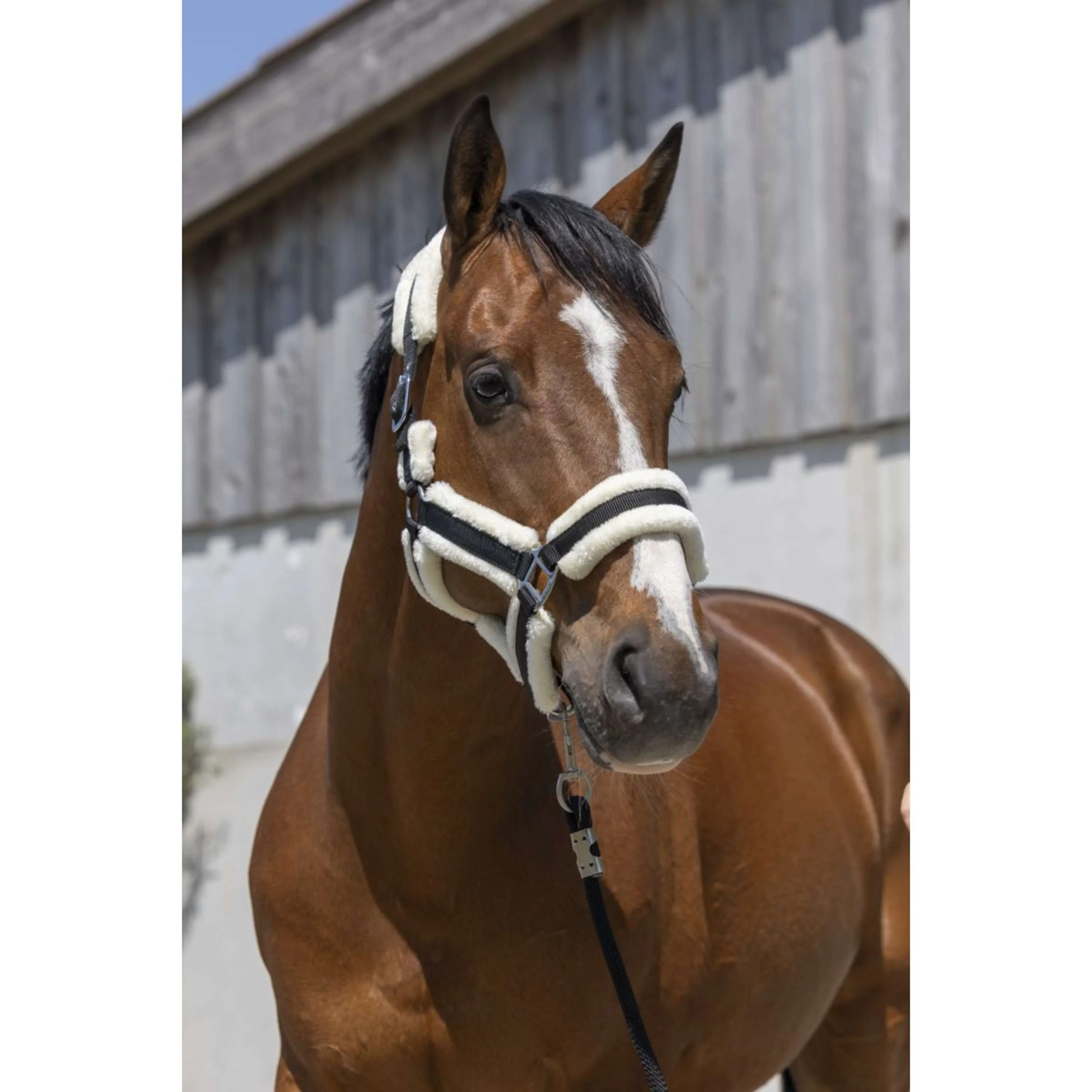 Norton Capezza Cosy Nero