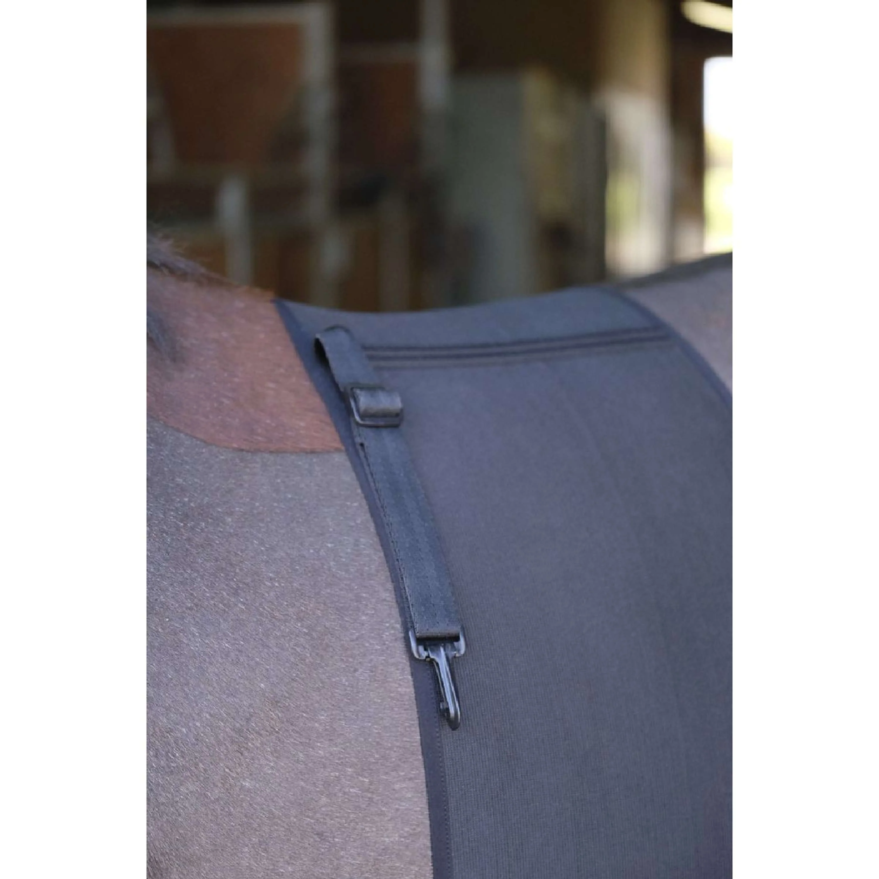 Norton Fascia Addominale Nero - Image 6