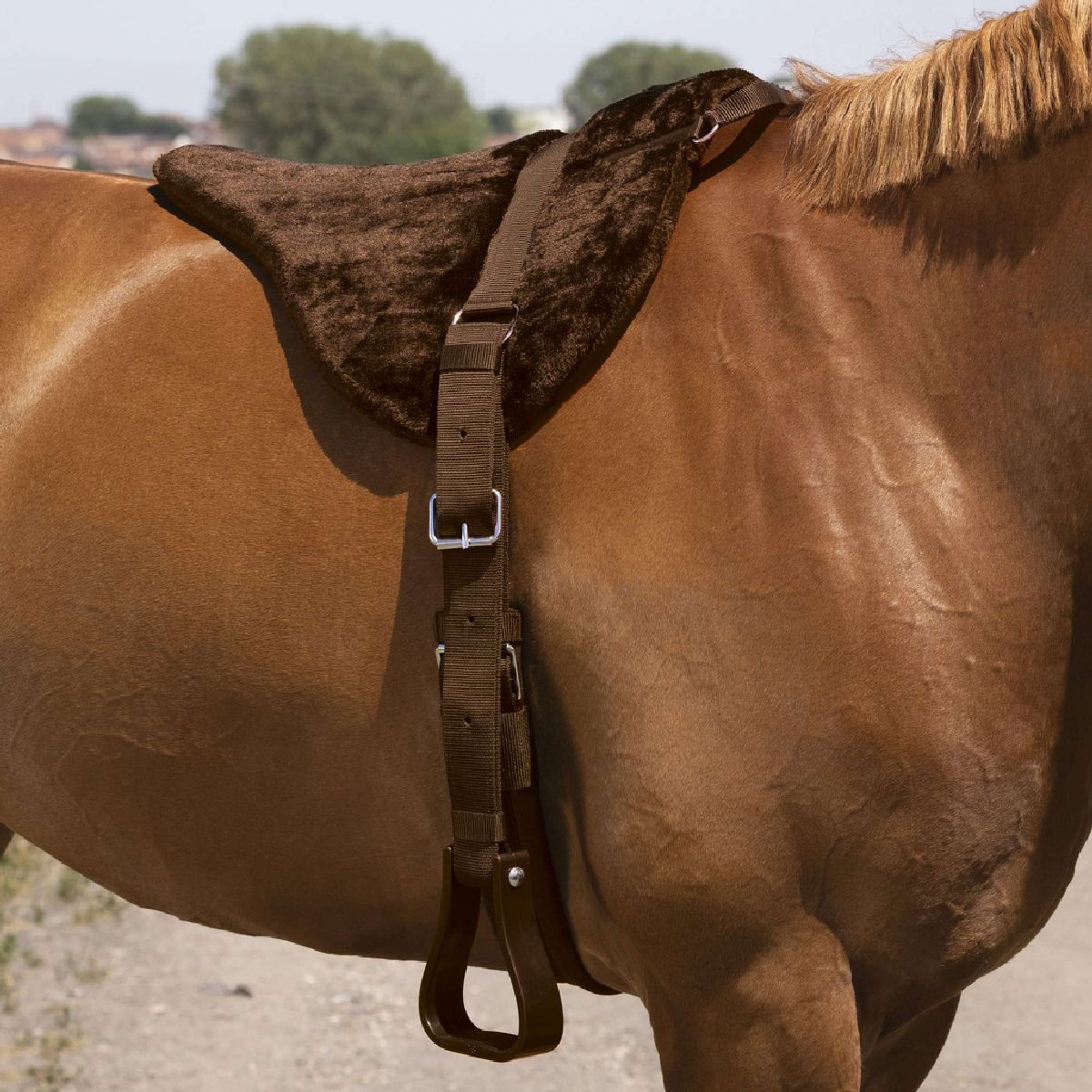 Norton Bareback Pad Confort Marrone