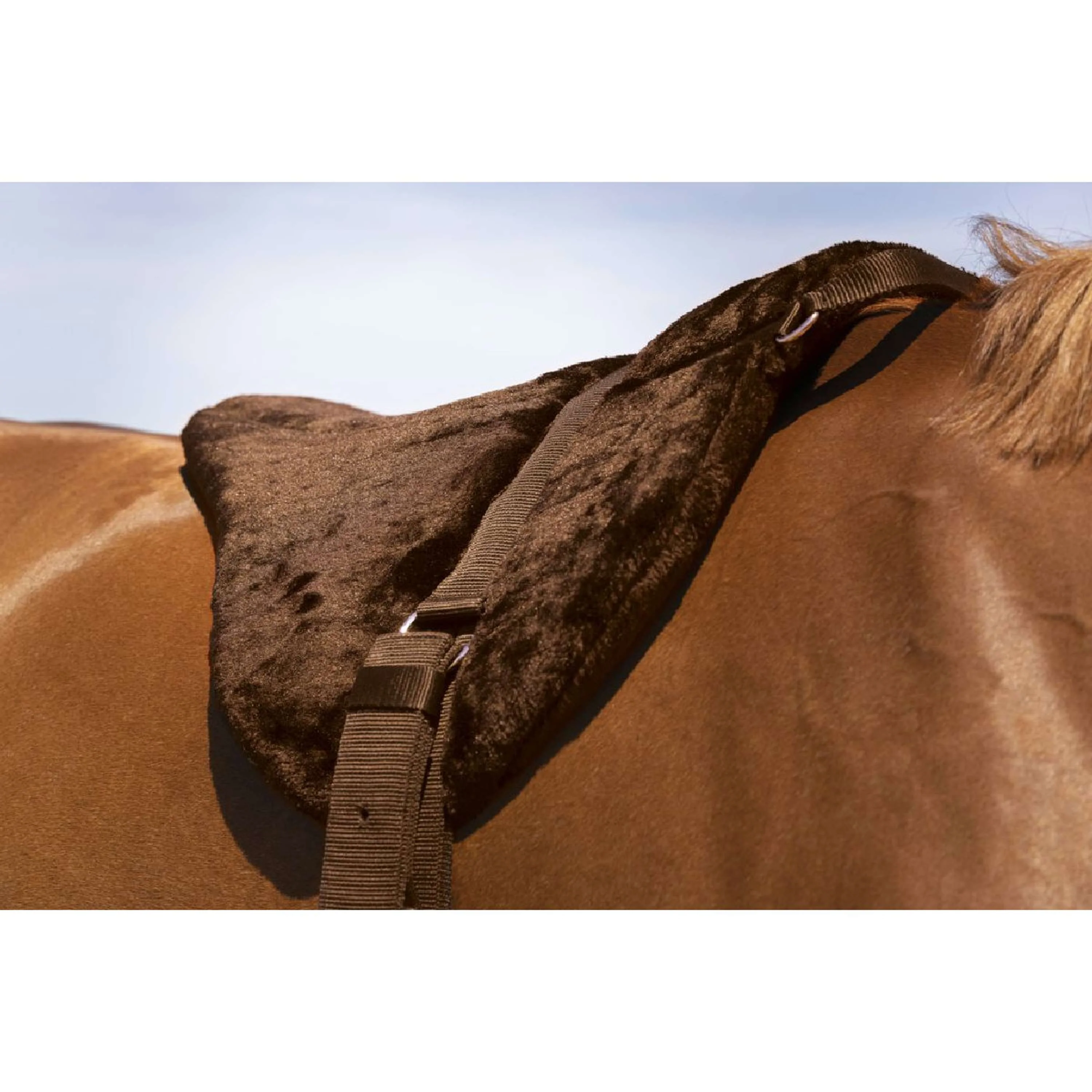 Norton Bareback Pad Confort Marrone - Image 2