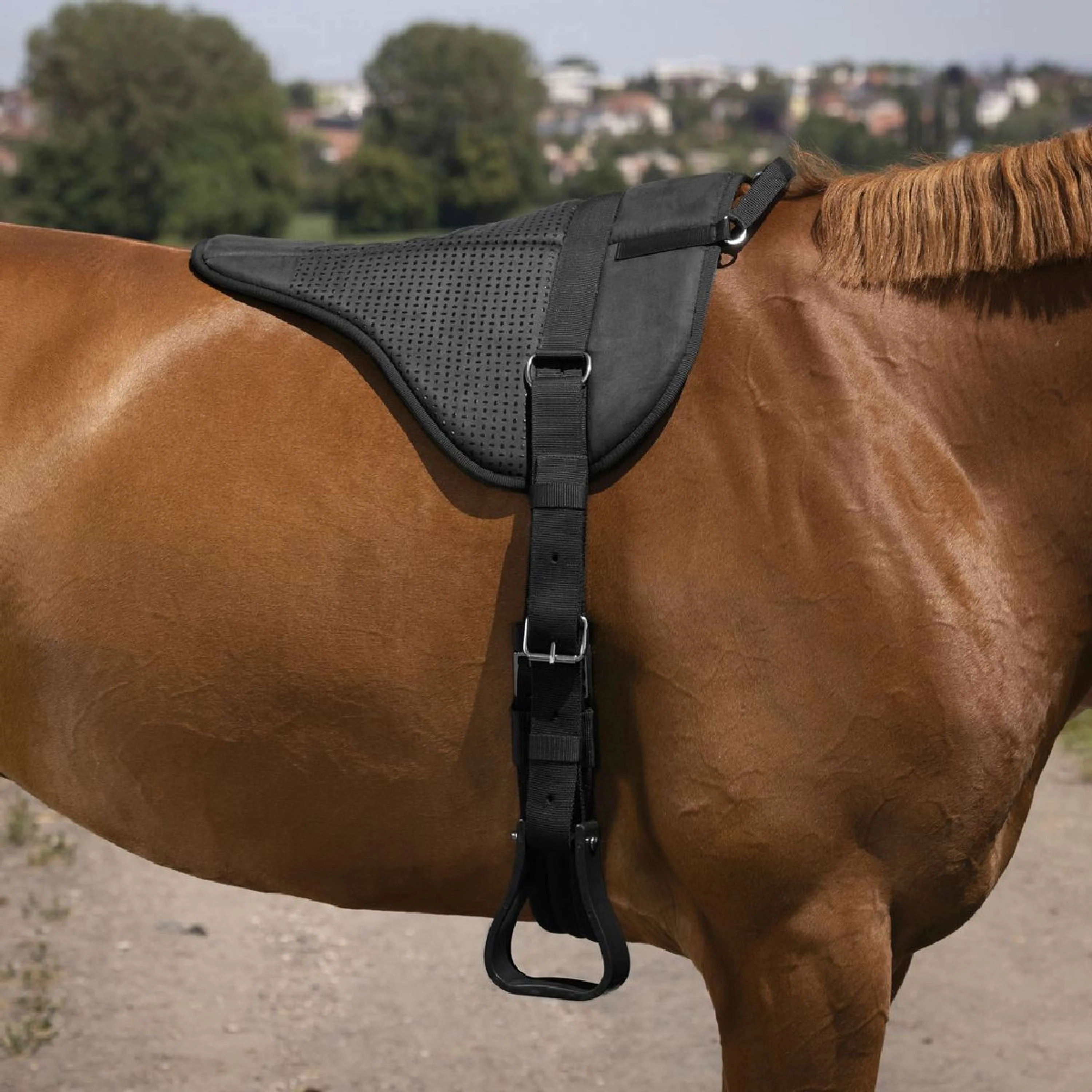 Norton Bareback Pad Silicone Nero - Image 2