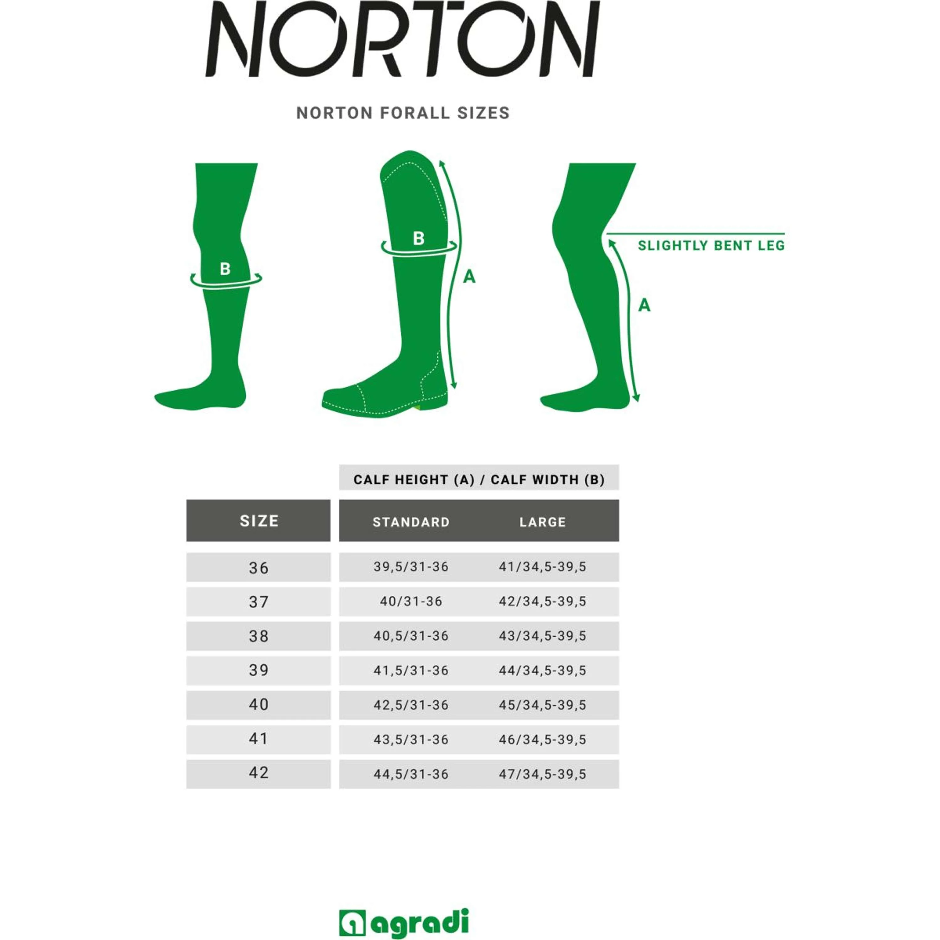 Norton Stivali da Equitazione Forall Synthetisch Nero - Image 11