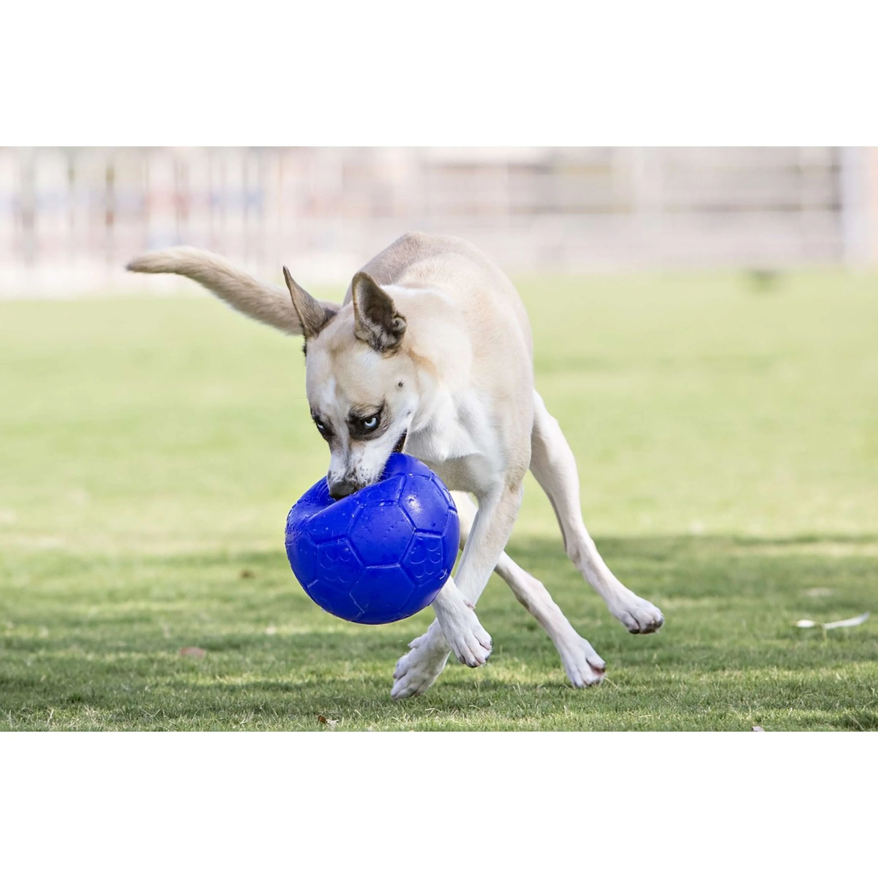 Pallone da calcio Jolly Ball Rosso - Image 4