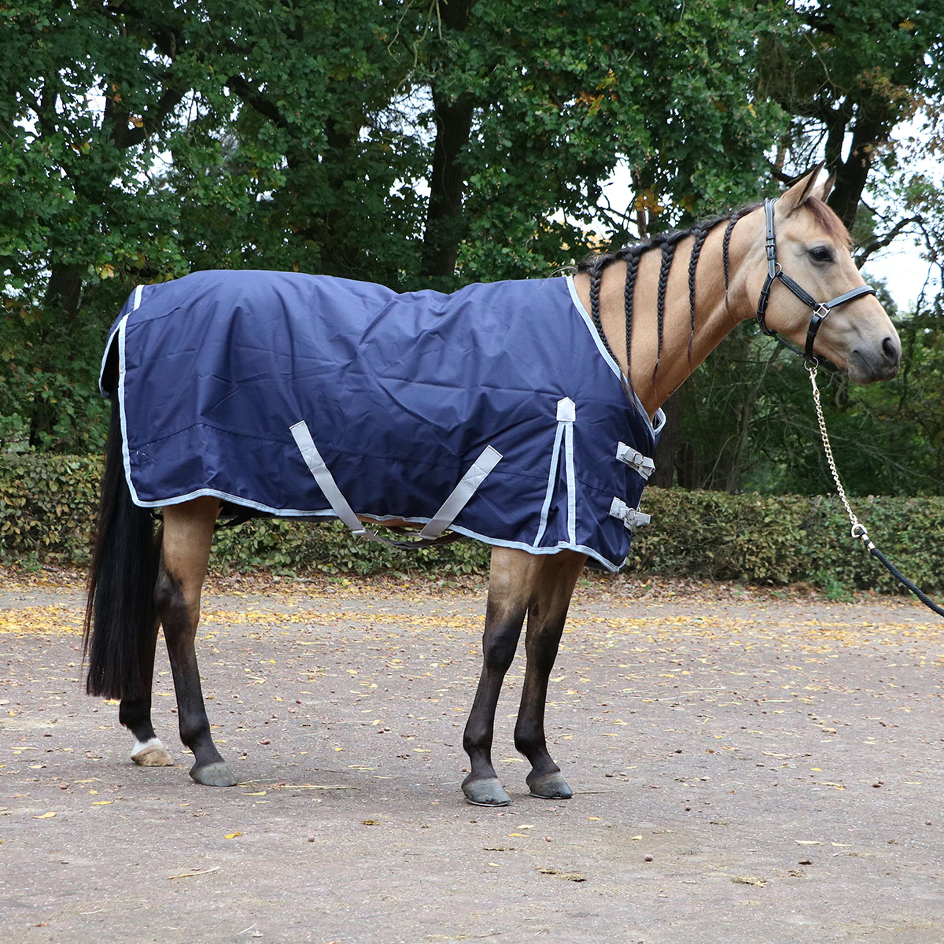 Premiere Tappeto da Esterno Tutto l'anno 150g Dress Blue - Image 8
