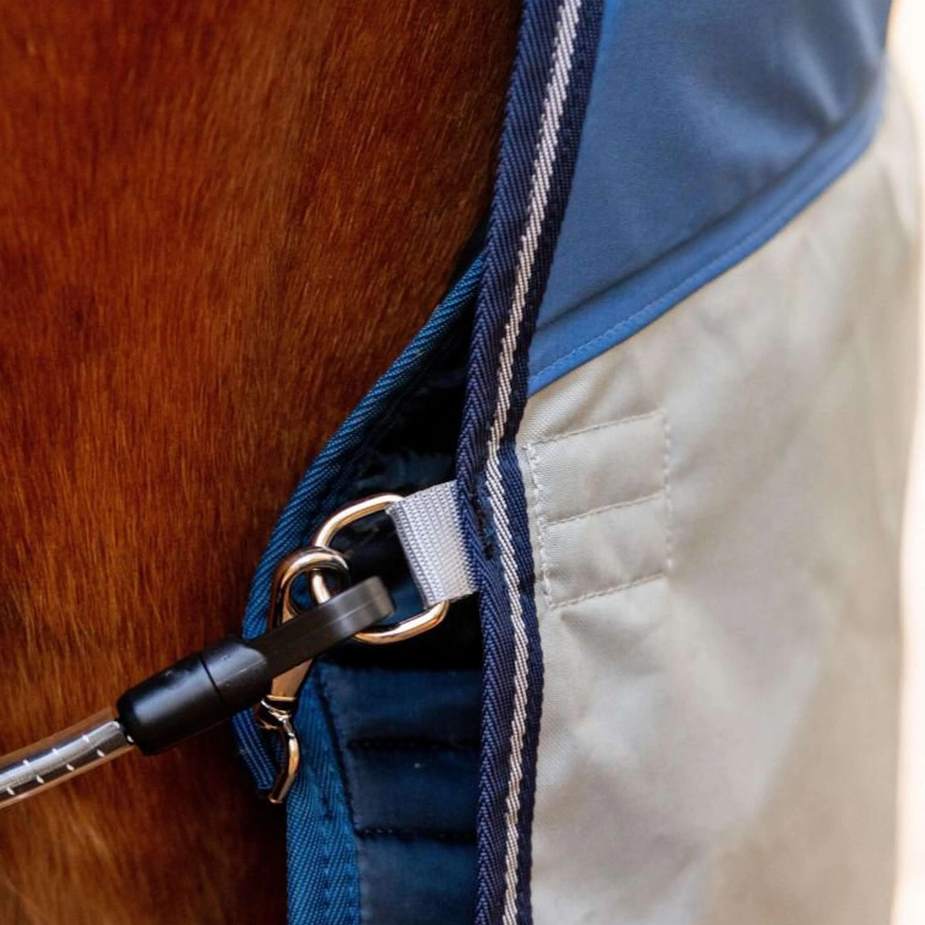 Rambo Autumn Series Turnout Punti blu scuro/grigi - Image 10