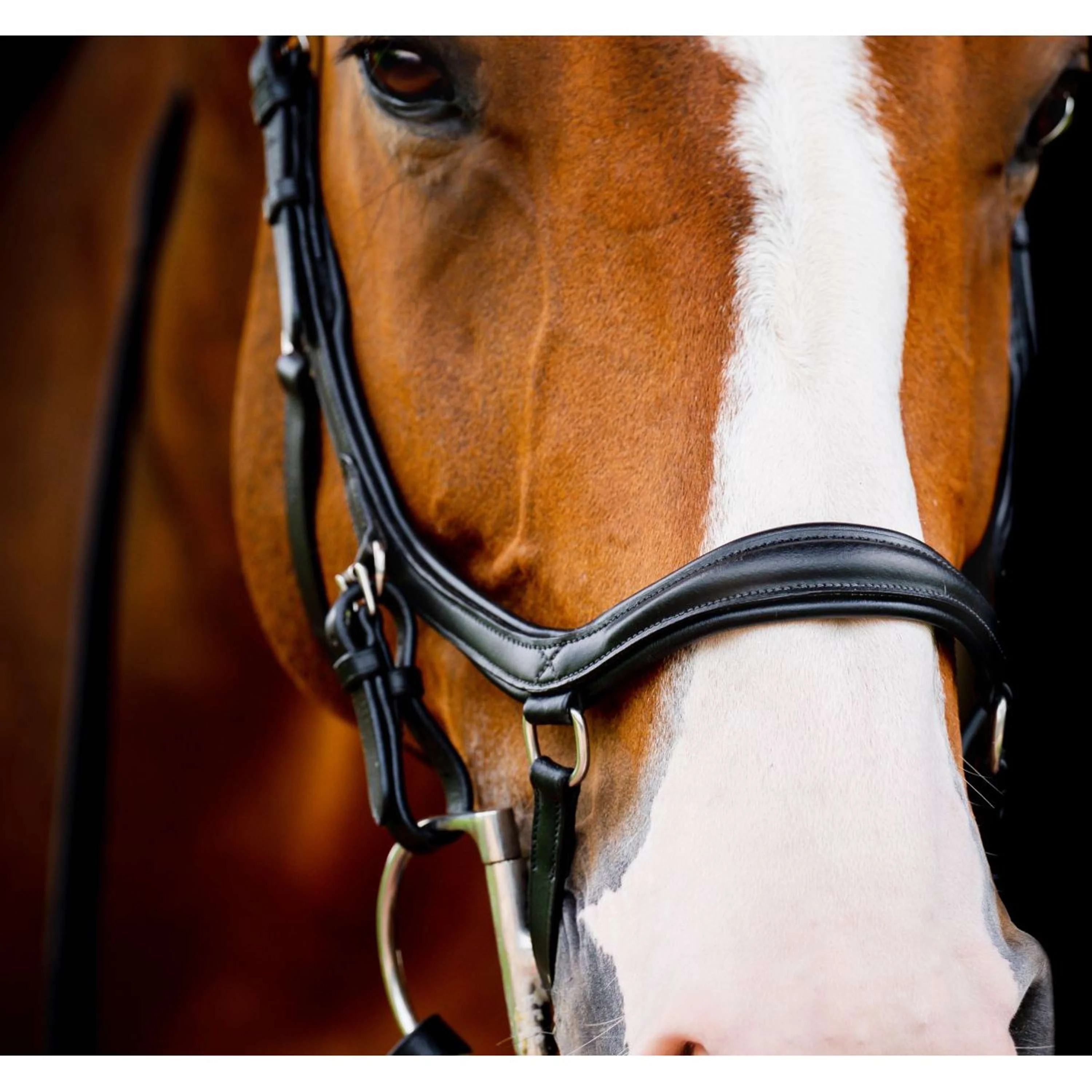 Horseware Briglia da competizione Micklem Diamond New Nero - Image 3