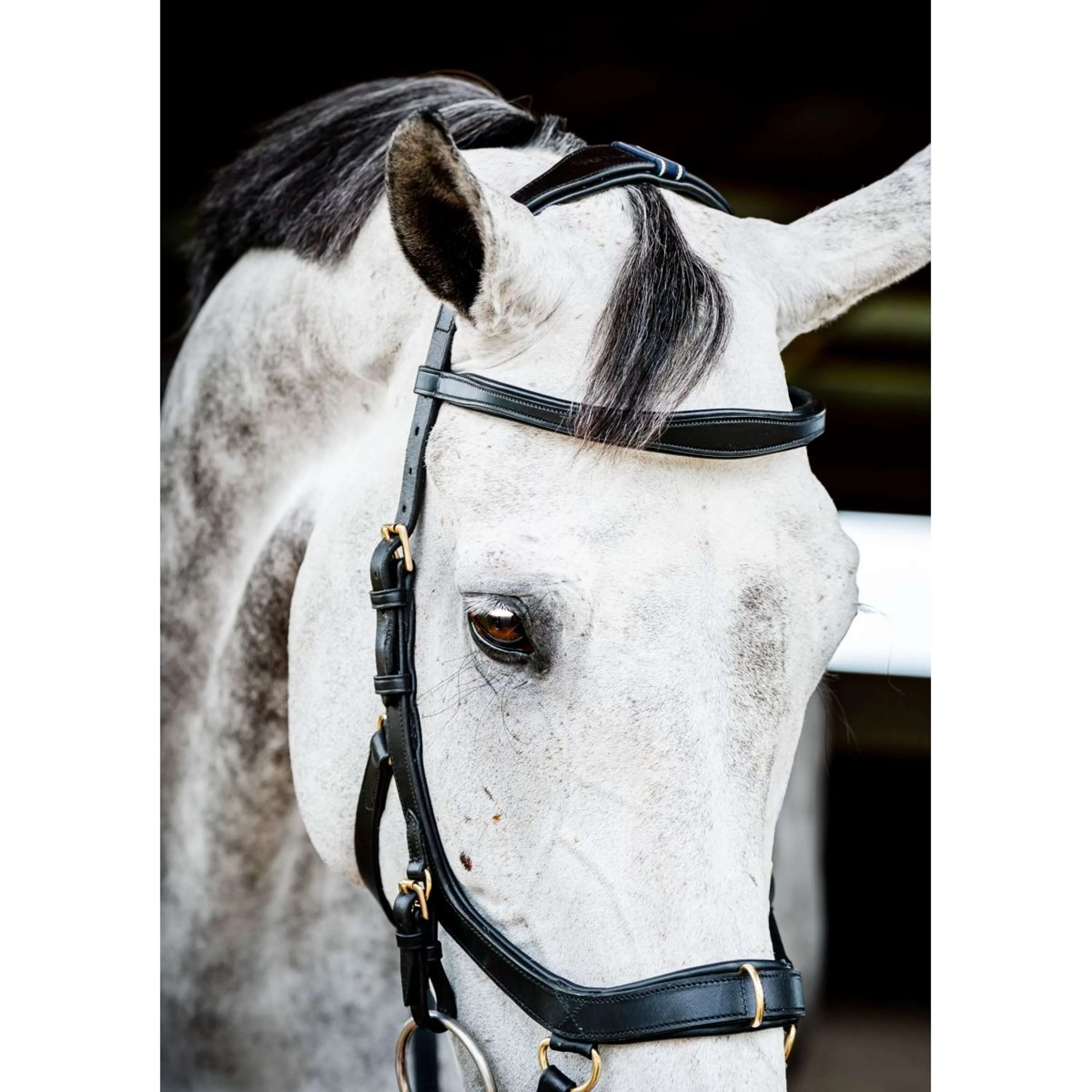 Horseware Briglia multipla Micklem New Nero - Image 2