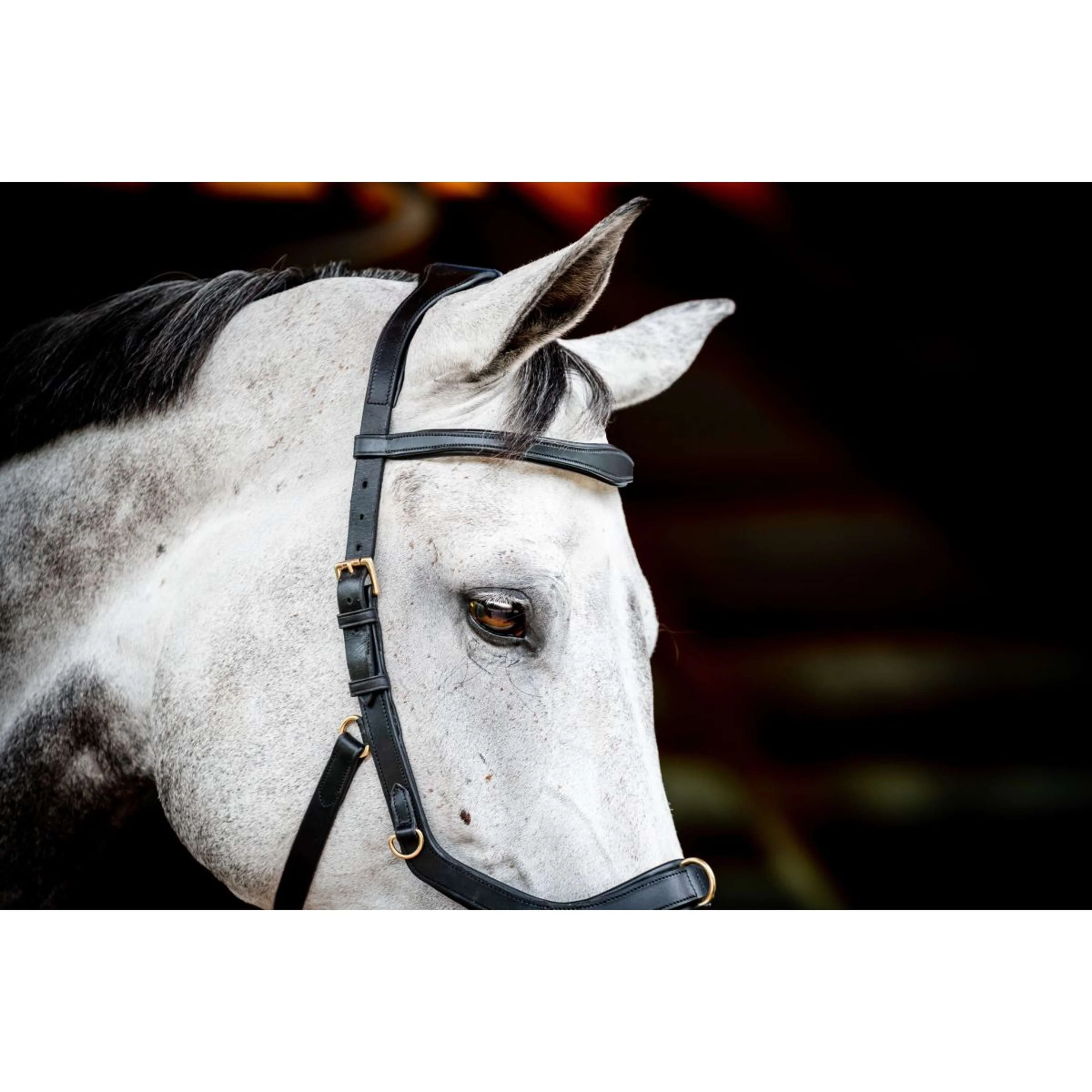Horseware Briglia multipla Micklem New Nero - Image 3