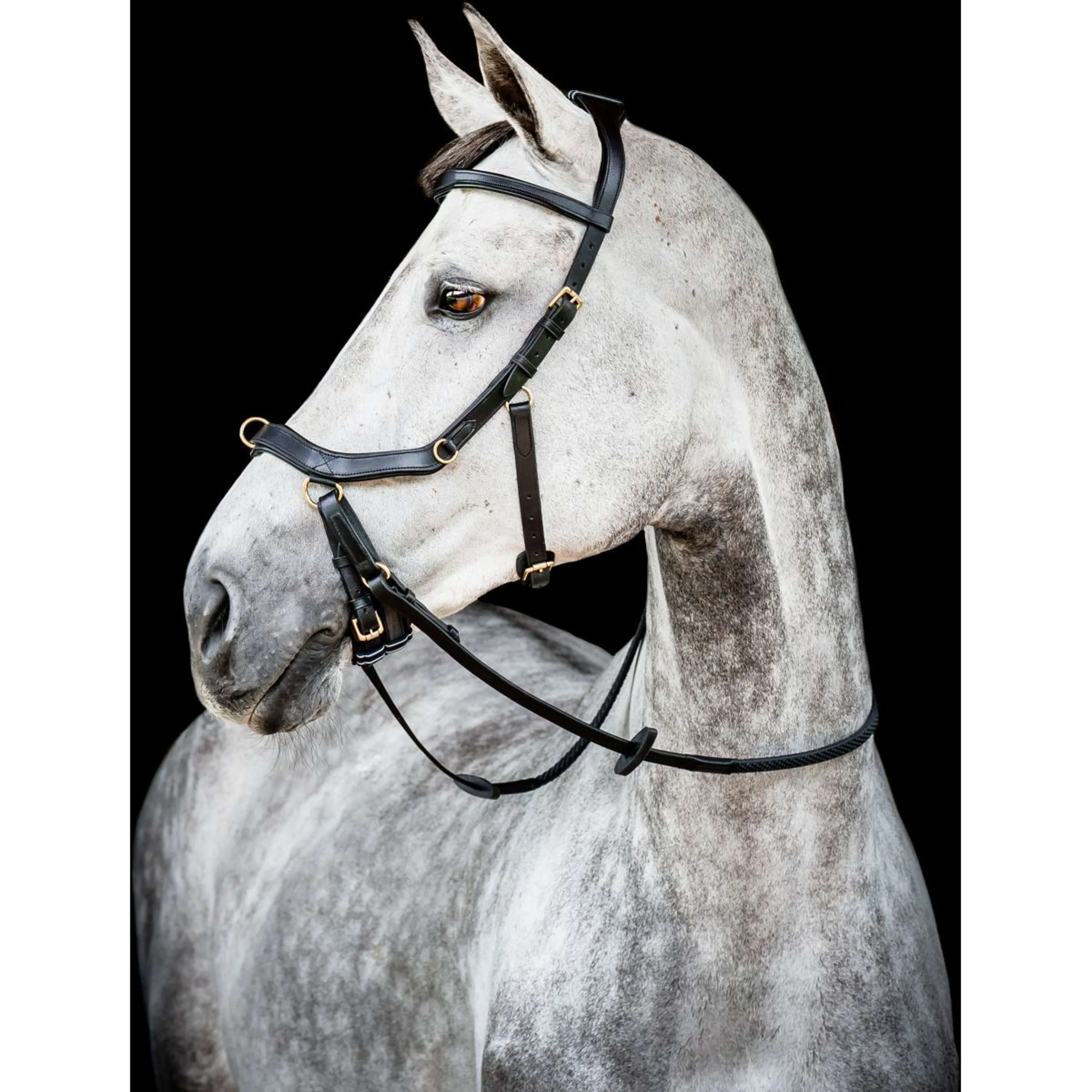 Horseware Briglia multipla Micklem New Nero - Image 4