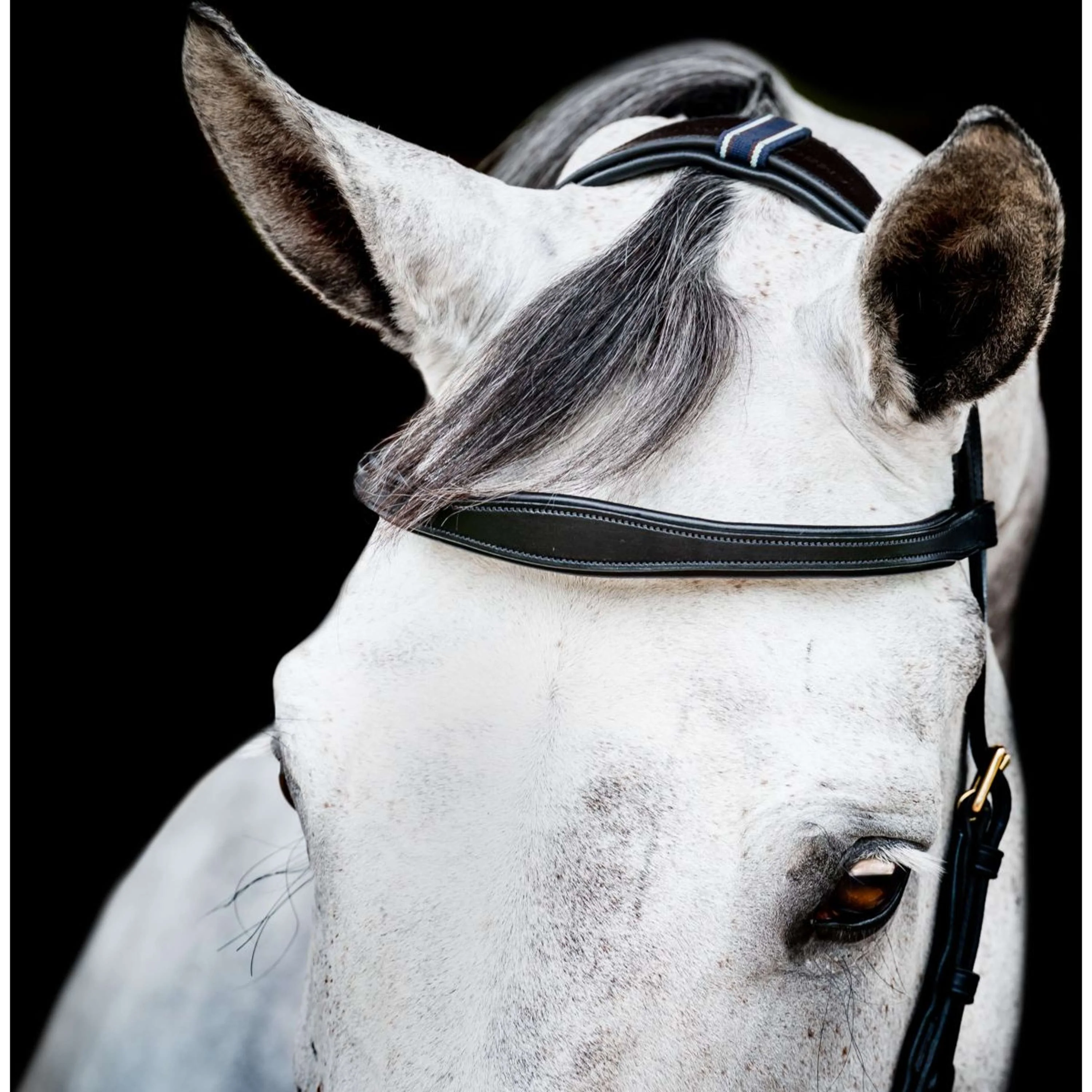 Horseware Briglia multipla Micklem New Nero - Image 7