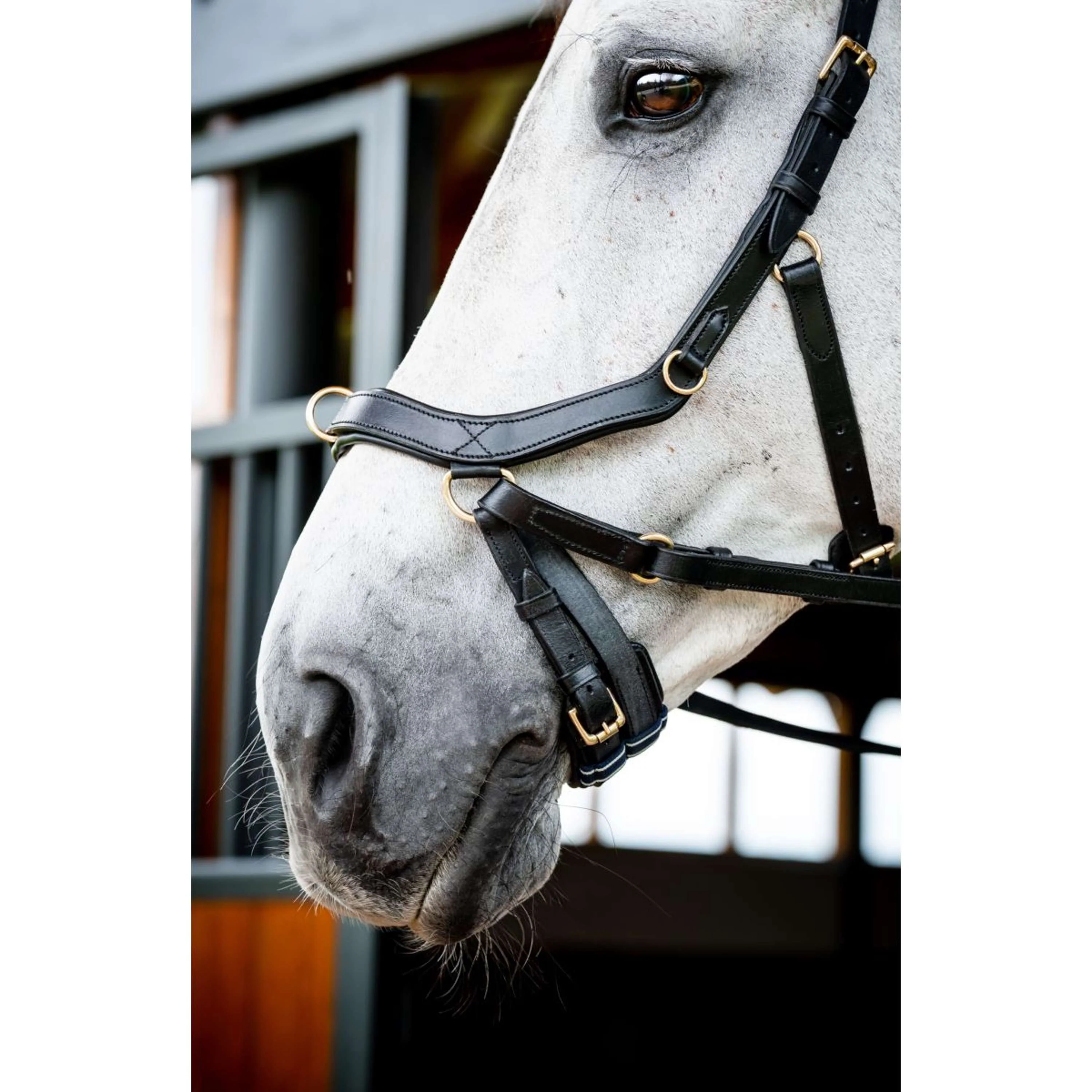 Horseware Briglia multipla Micklem New Nero - Image 8